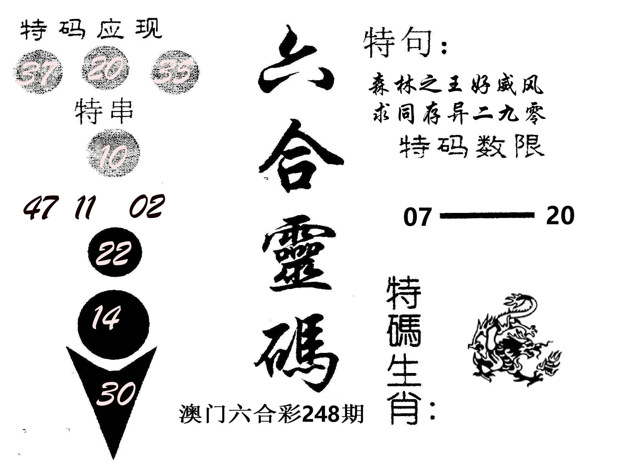 六合灵码 第248期