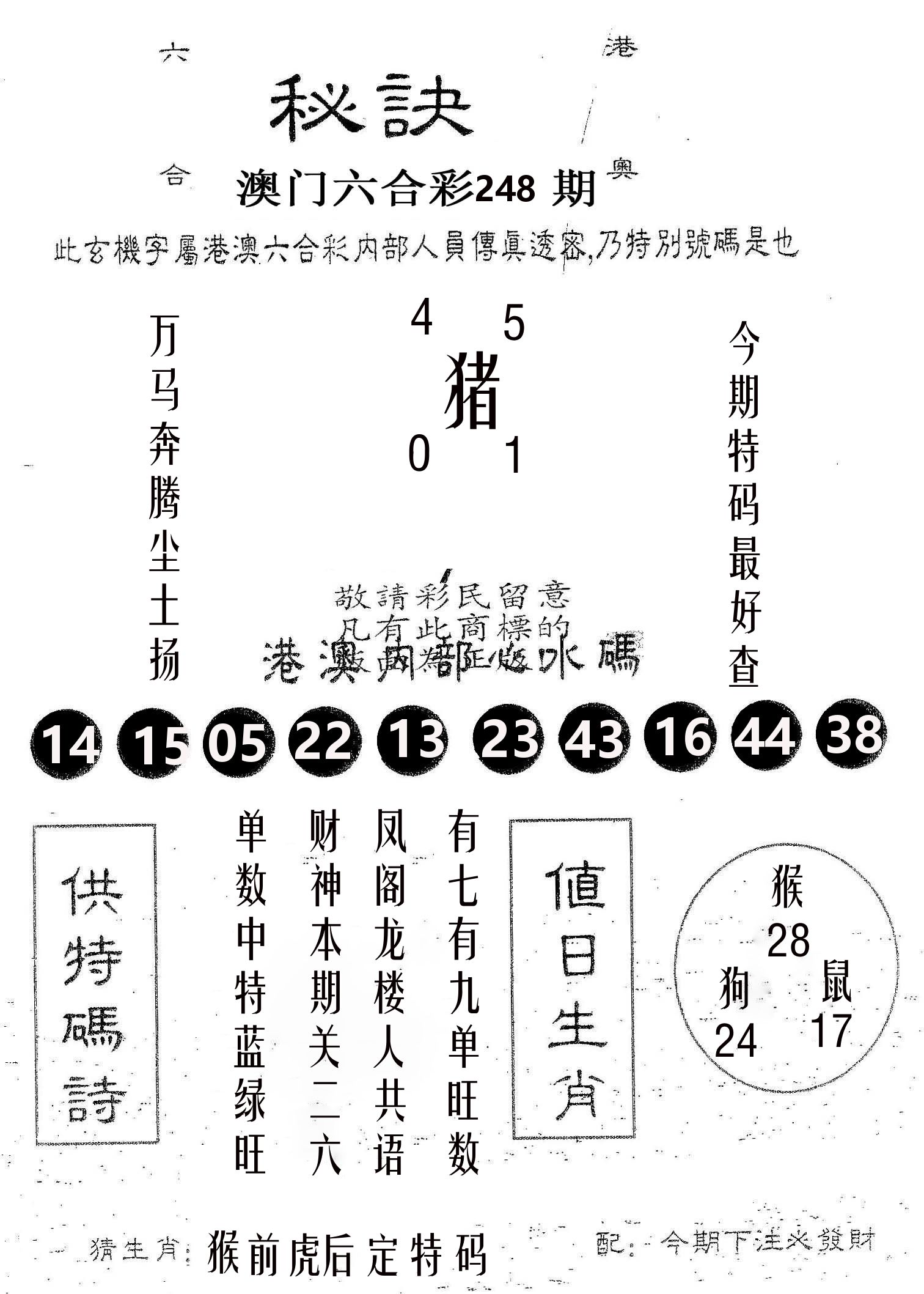 秘决 第248期