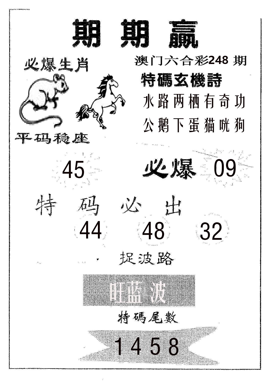 期期赢 第248期