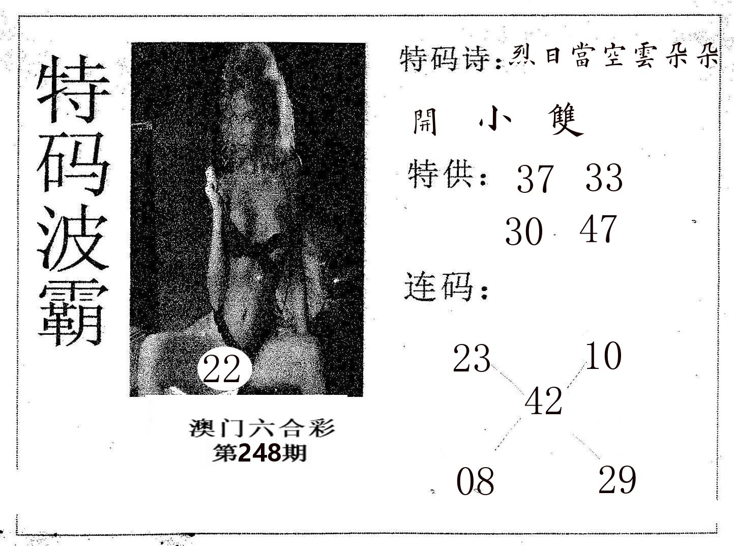 特码波霸 第248期