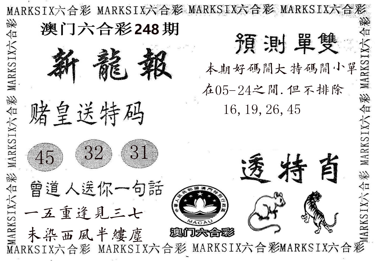 新龙报 第248期