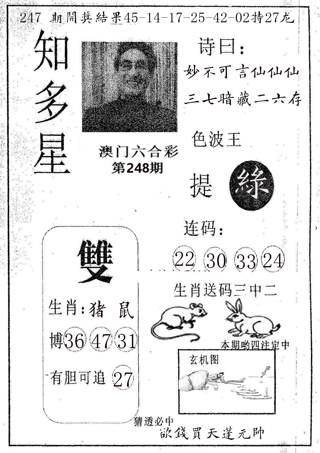 知多星 第248期