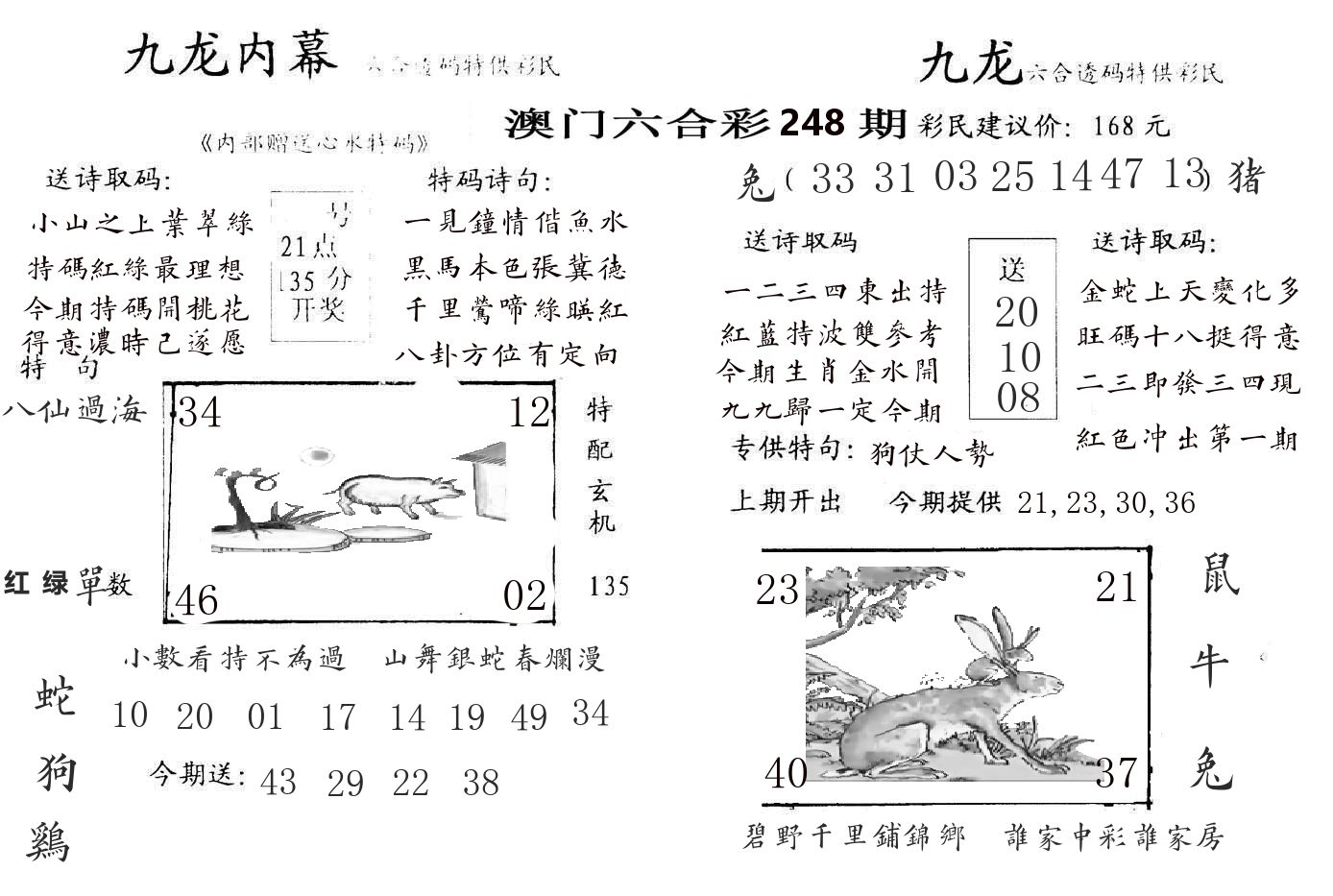 九龙内幕 第248期