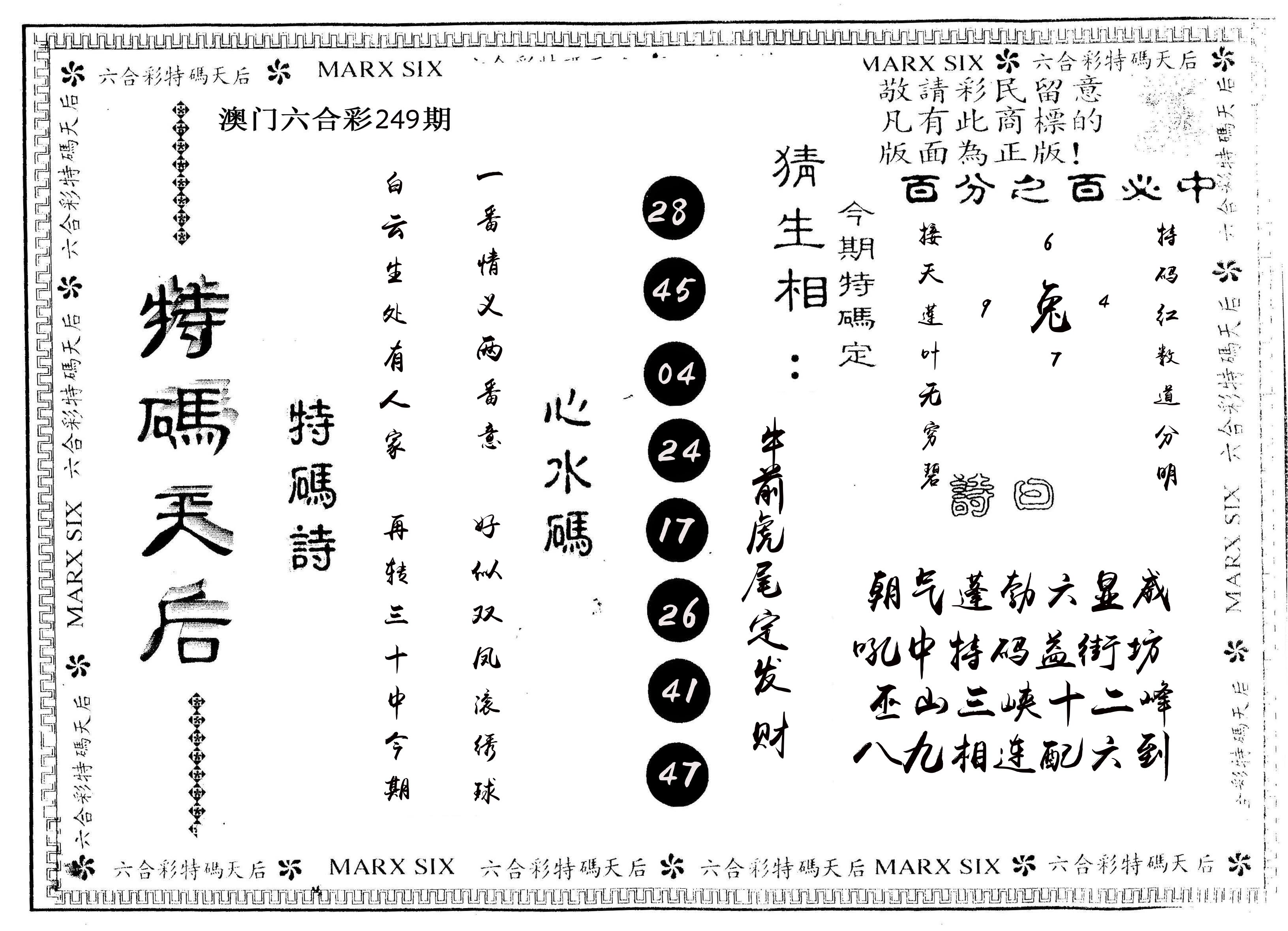 另版特码天后 第249期