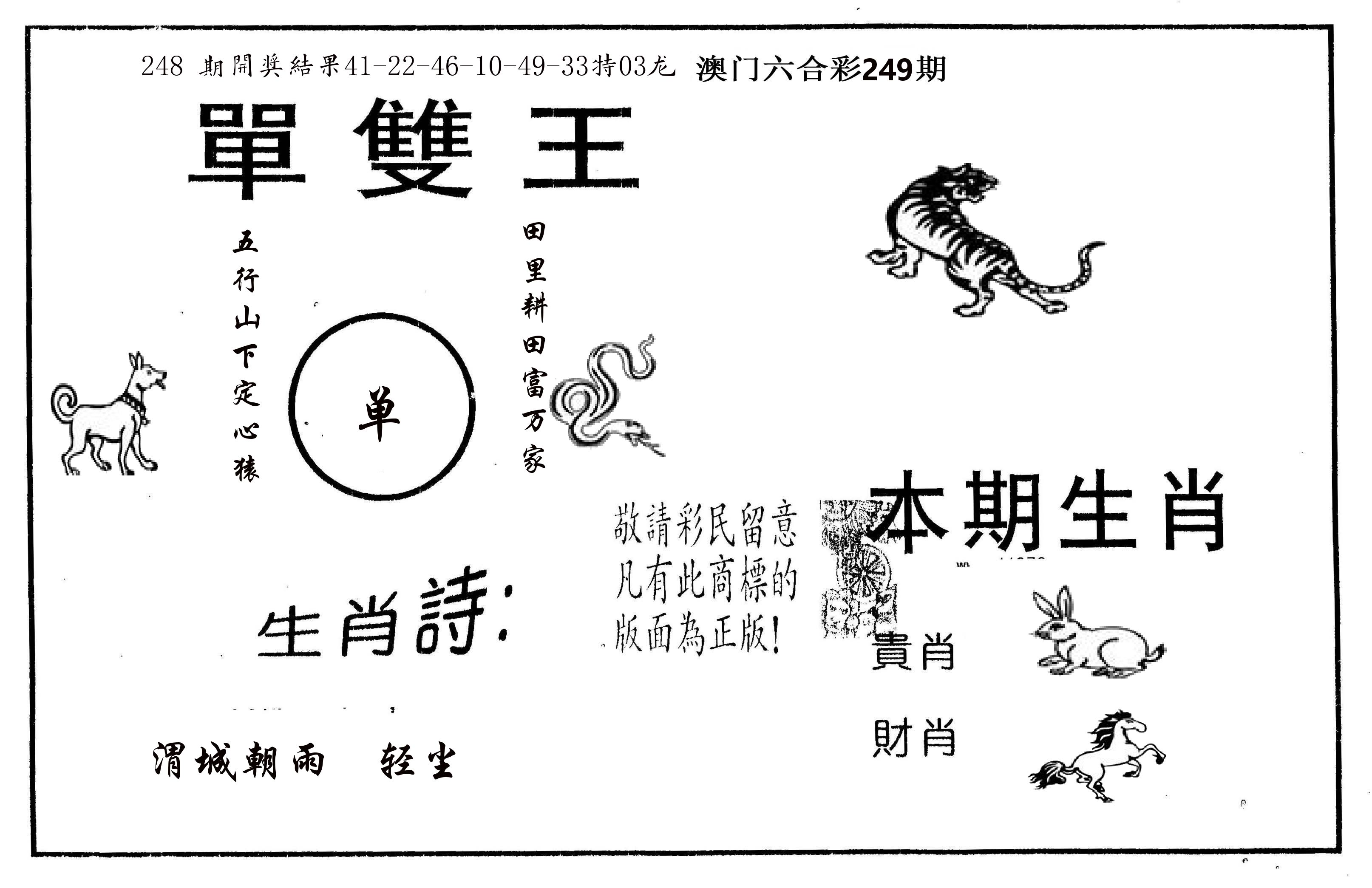 单双王A 第249期