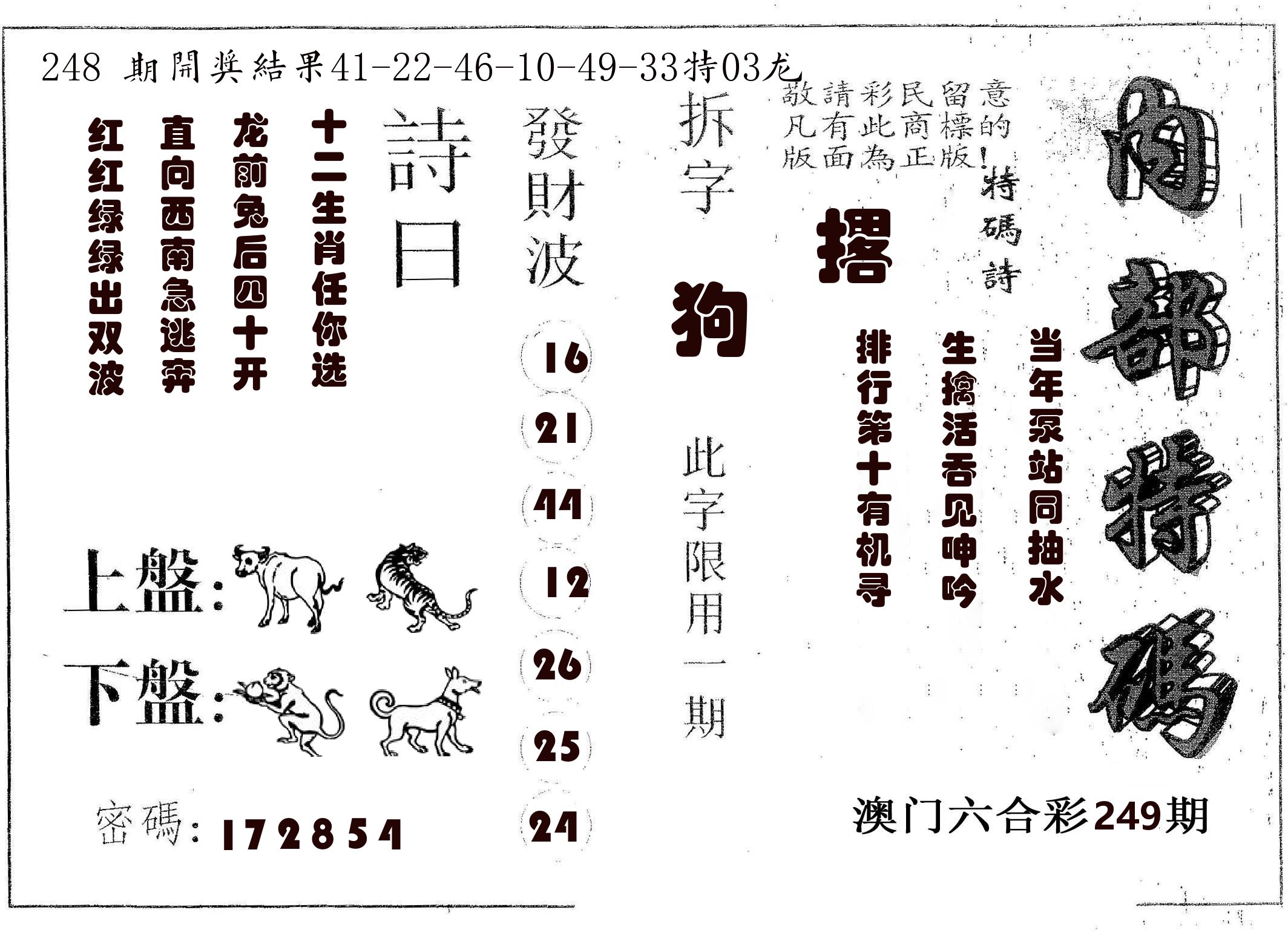 内部特码 第249期