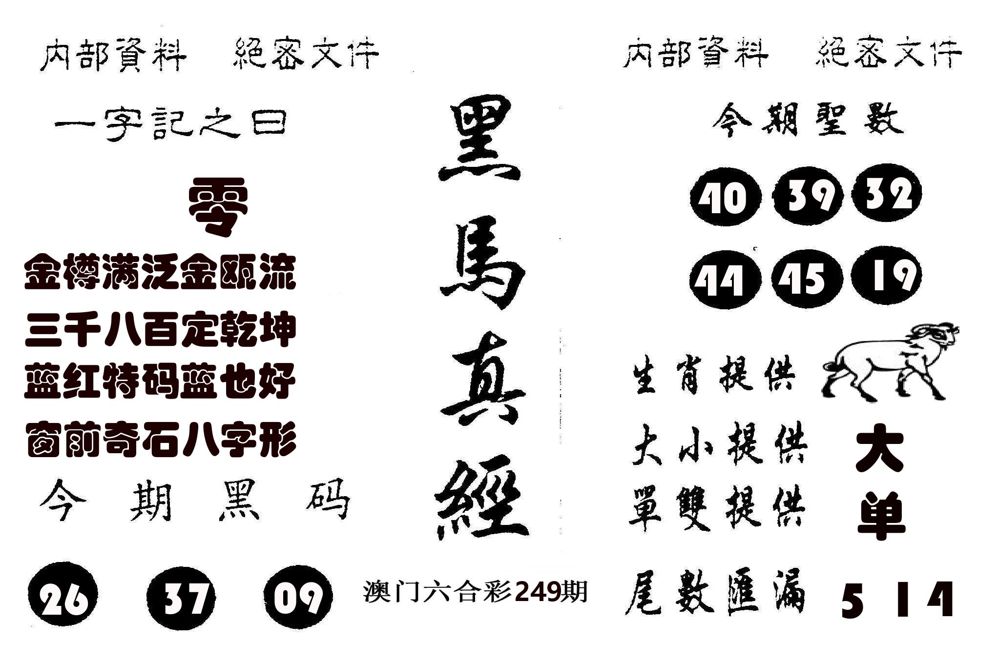 黑马真经 第249期