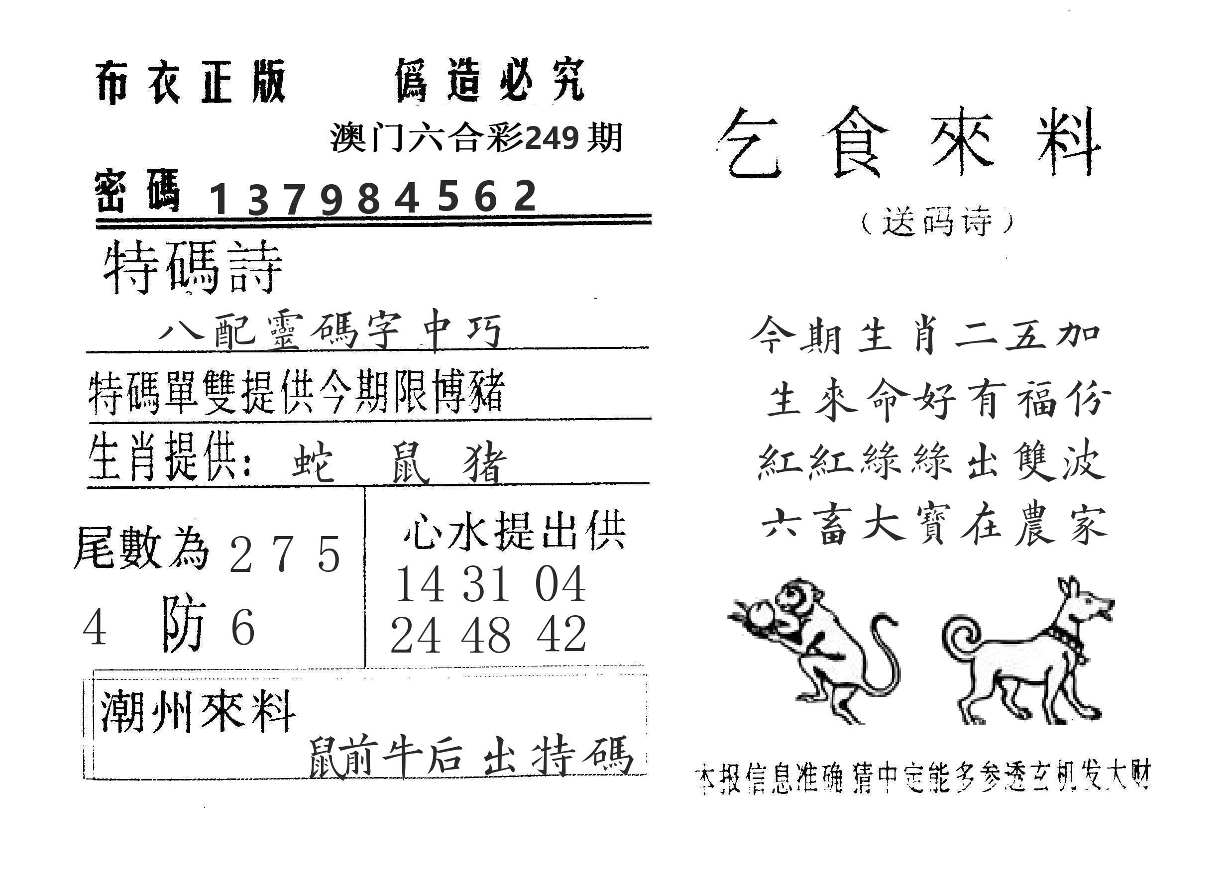 乞食来料 第249期