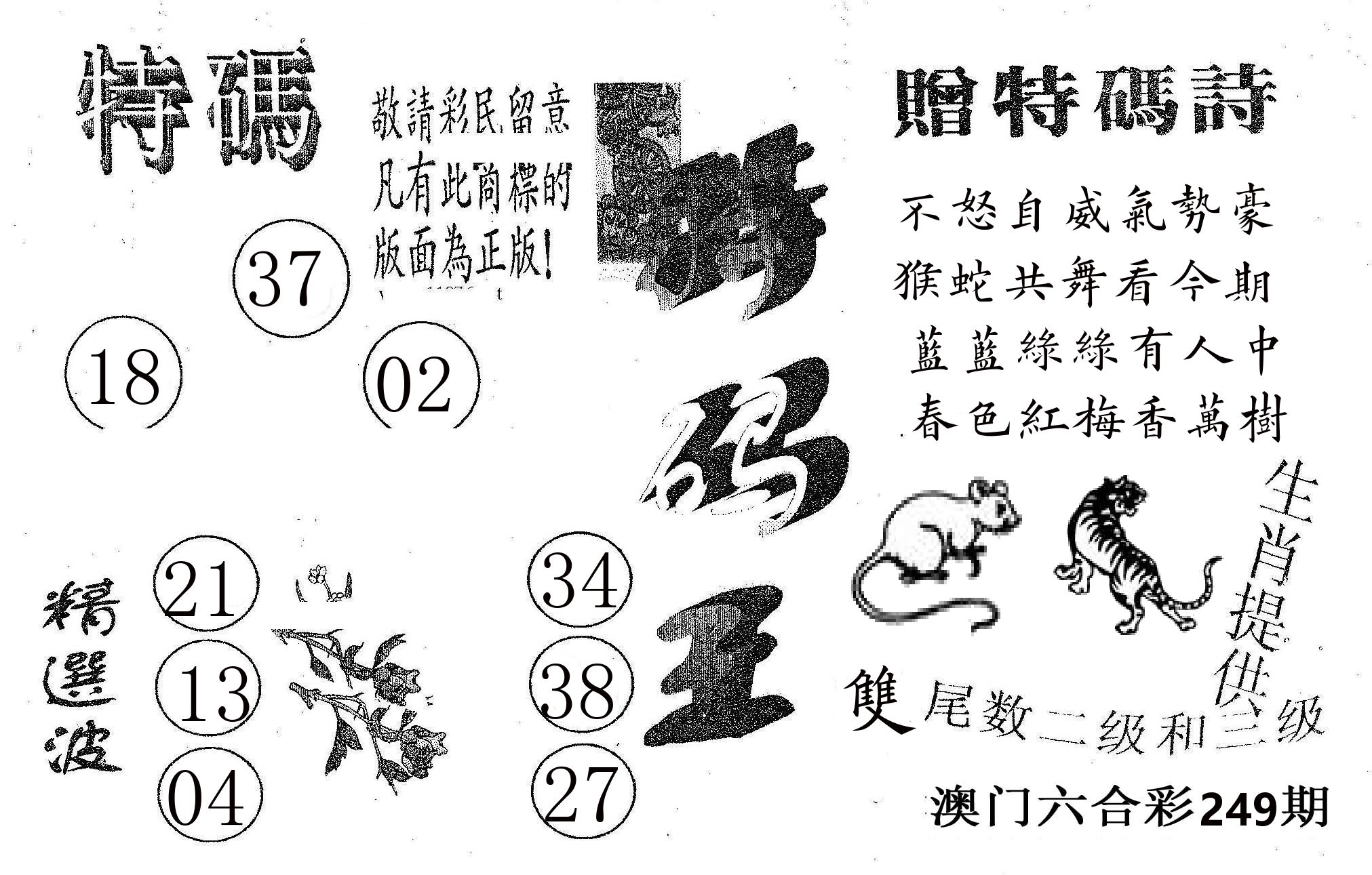 特码王A 第249期