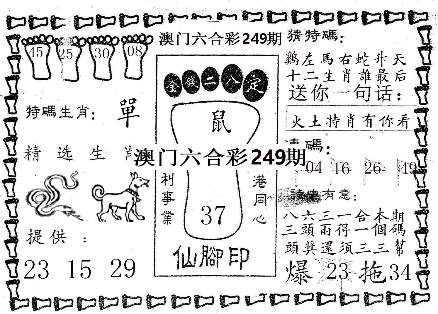 仙脚印 第249期