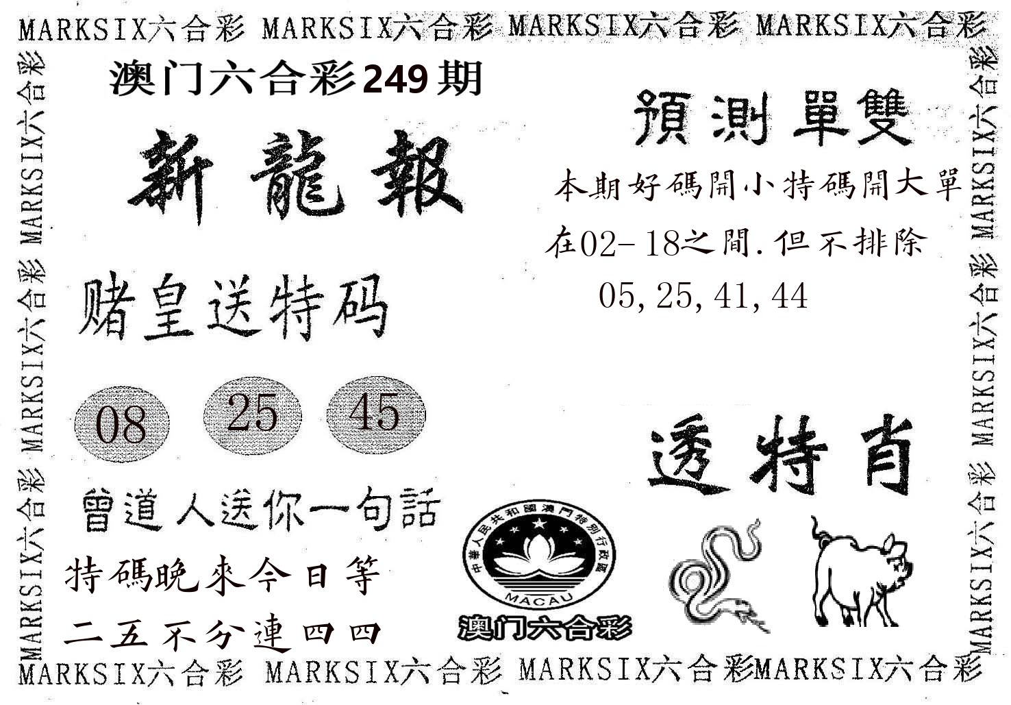 新龙报 第249期
