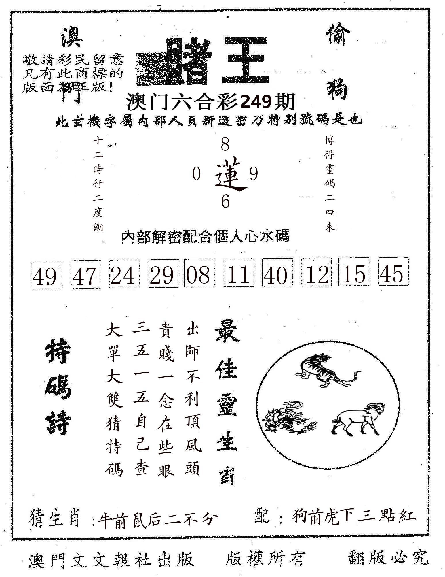 赌王 第249期