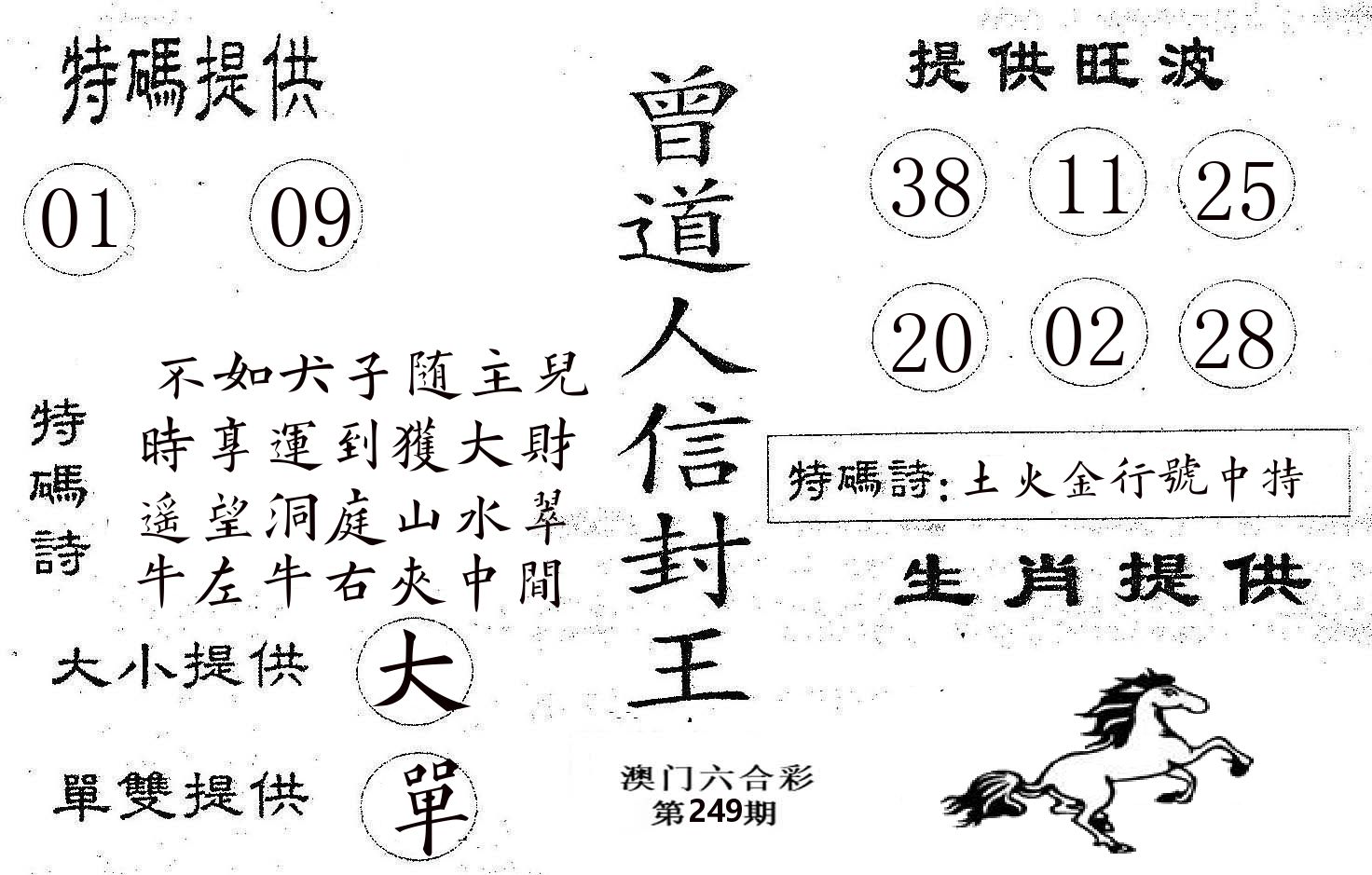 曾信封王 第249期