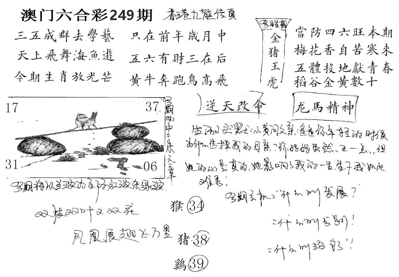 澳门手写九龙 第249期