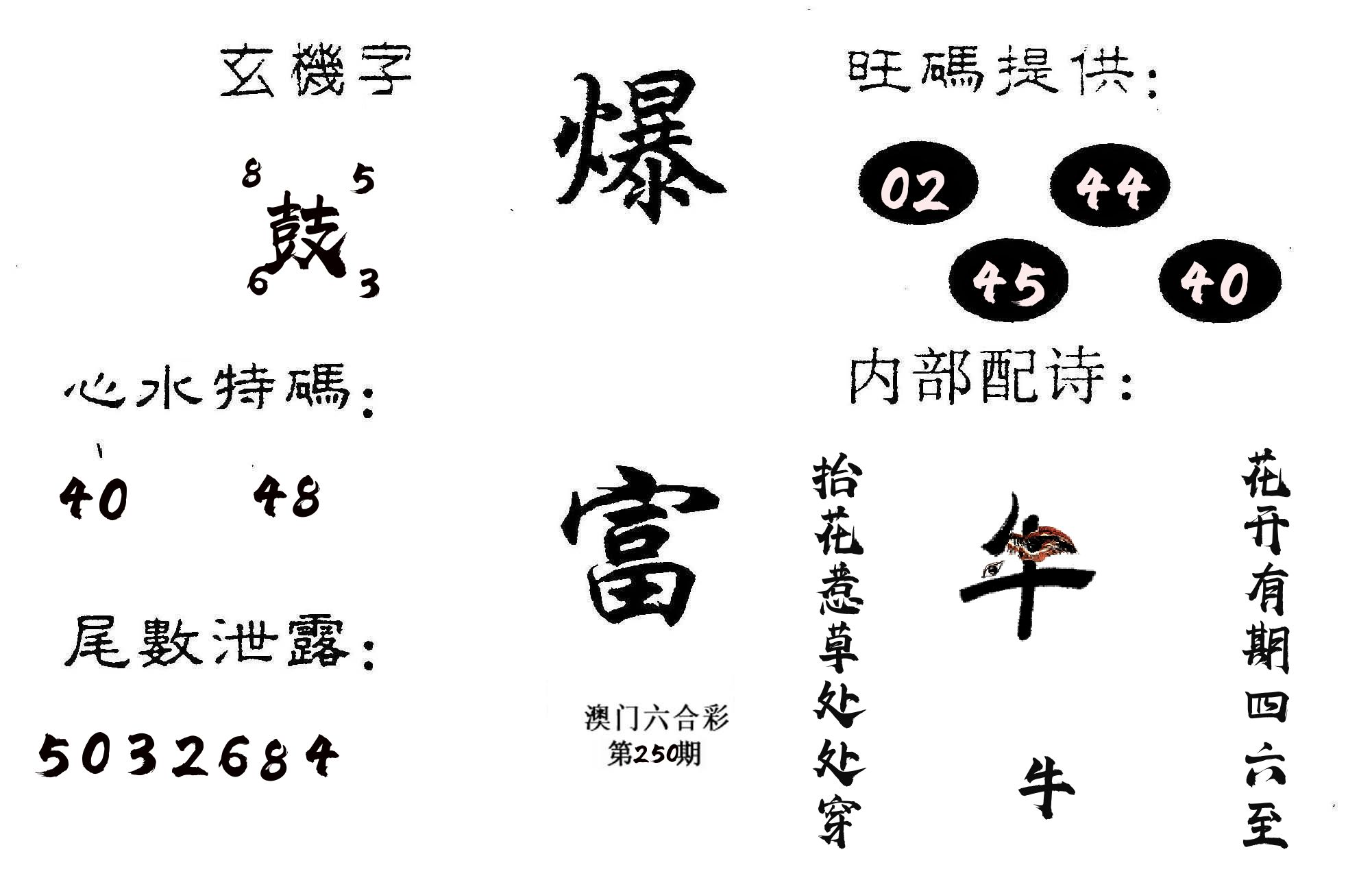 爆富 第250期