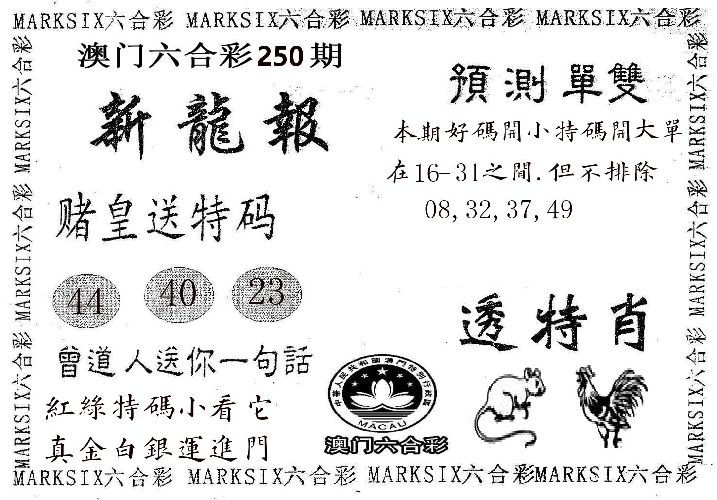 新龙报 第250期