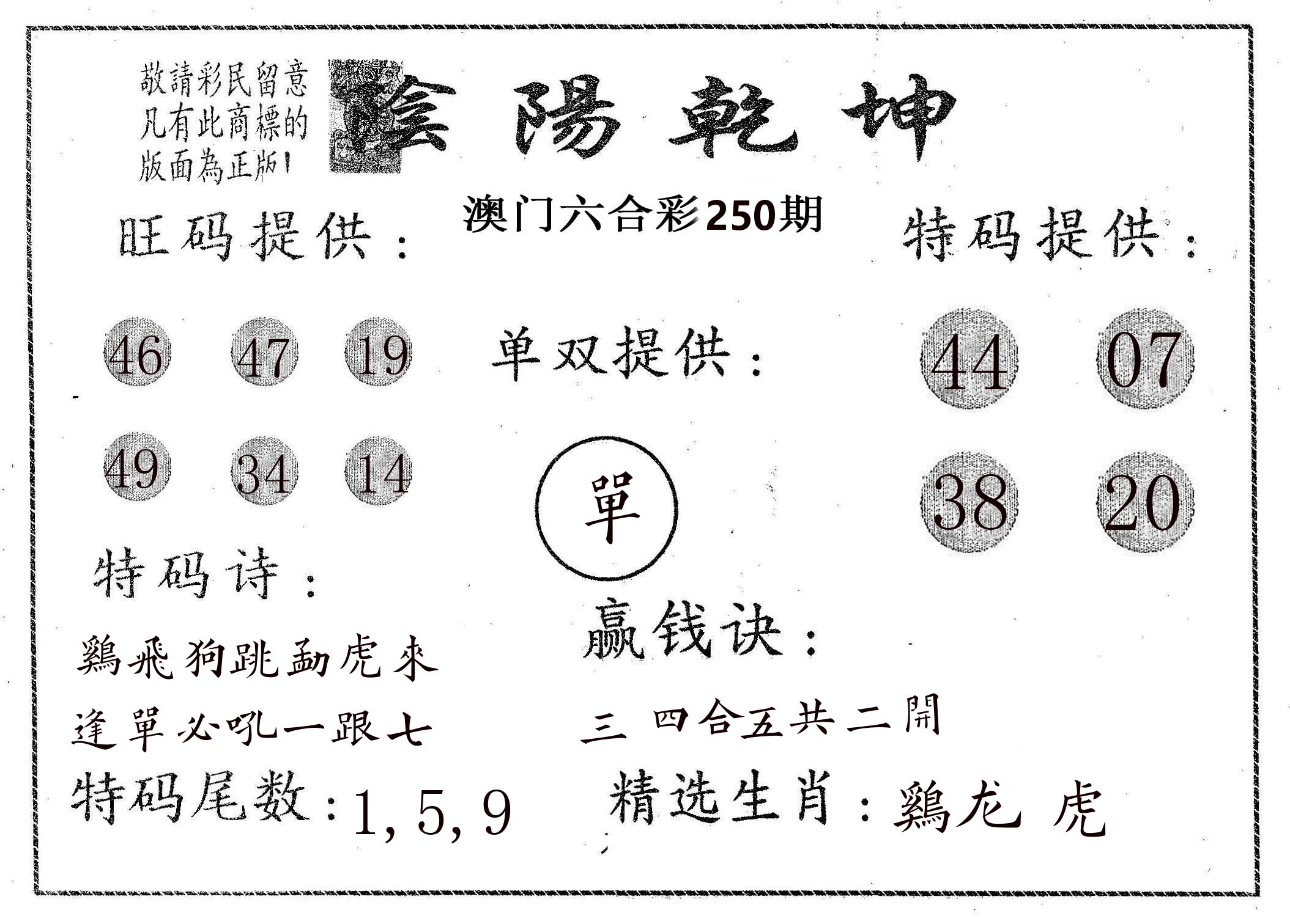 阴阳乾坤 第250期