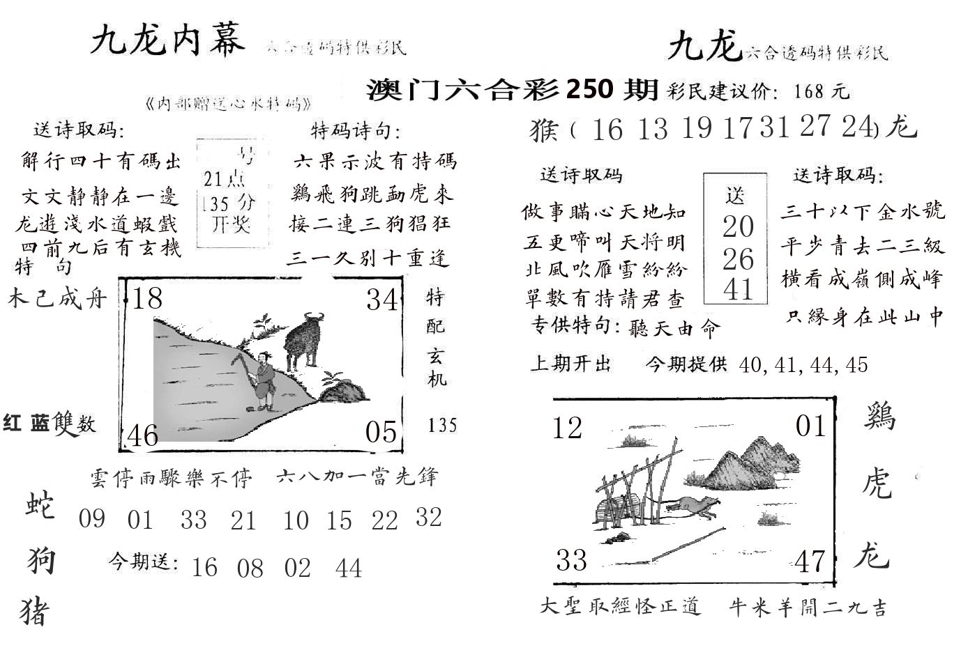 九龙内幕 第250期