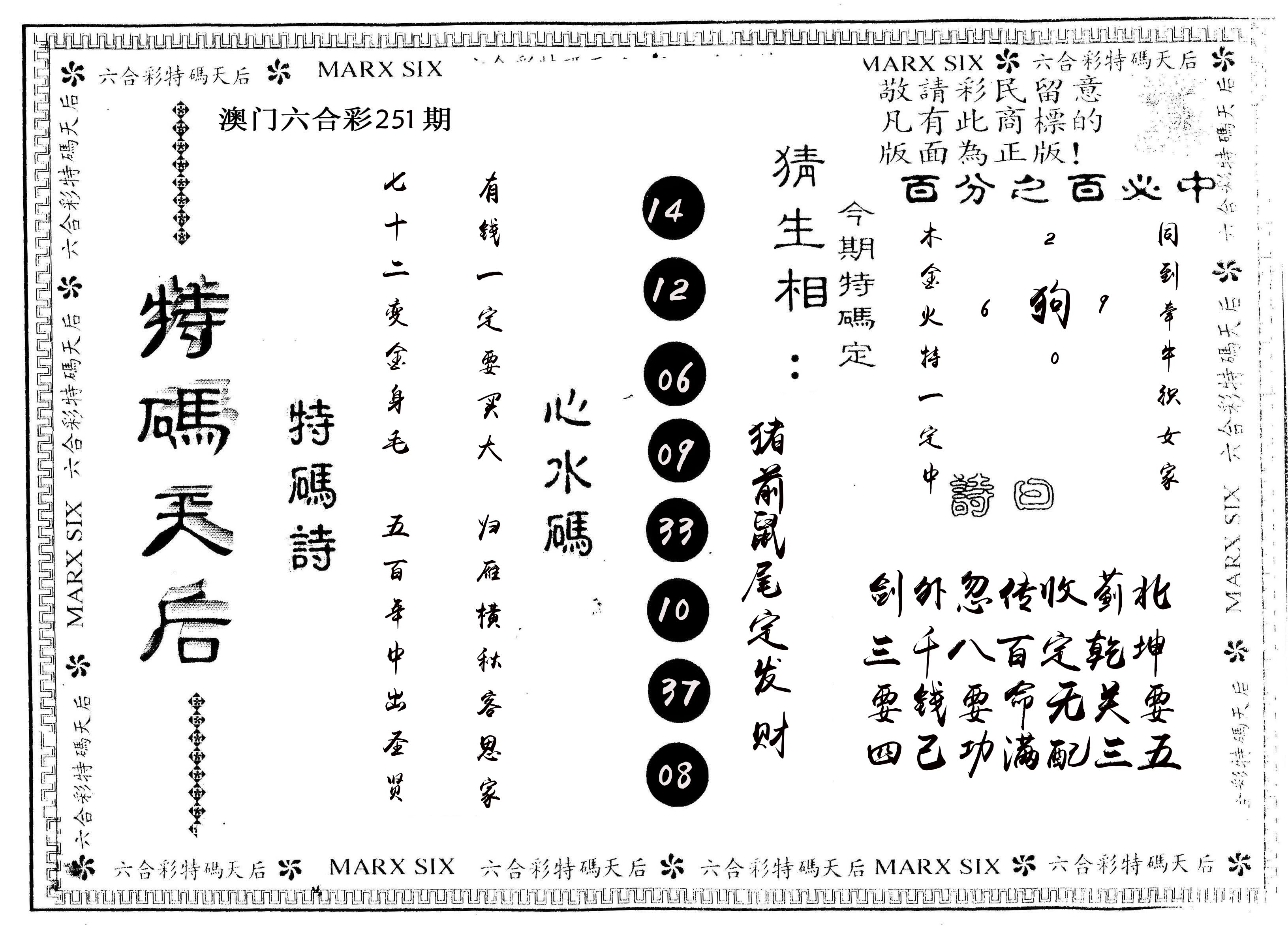 另版特码天后 第251期