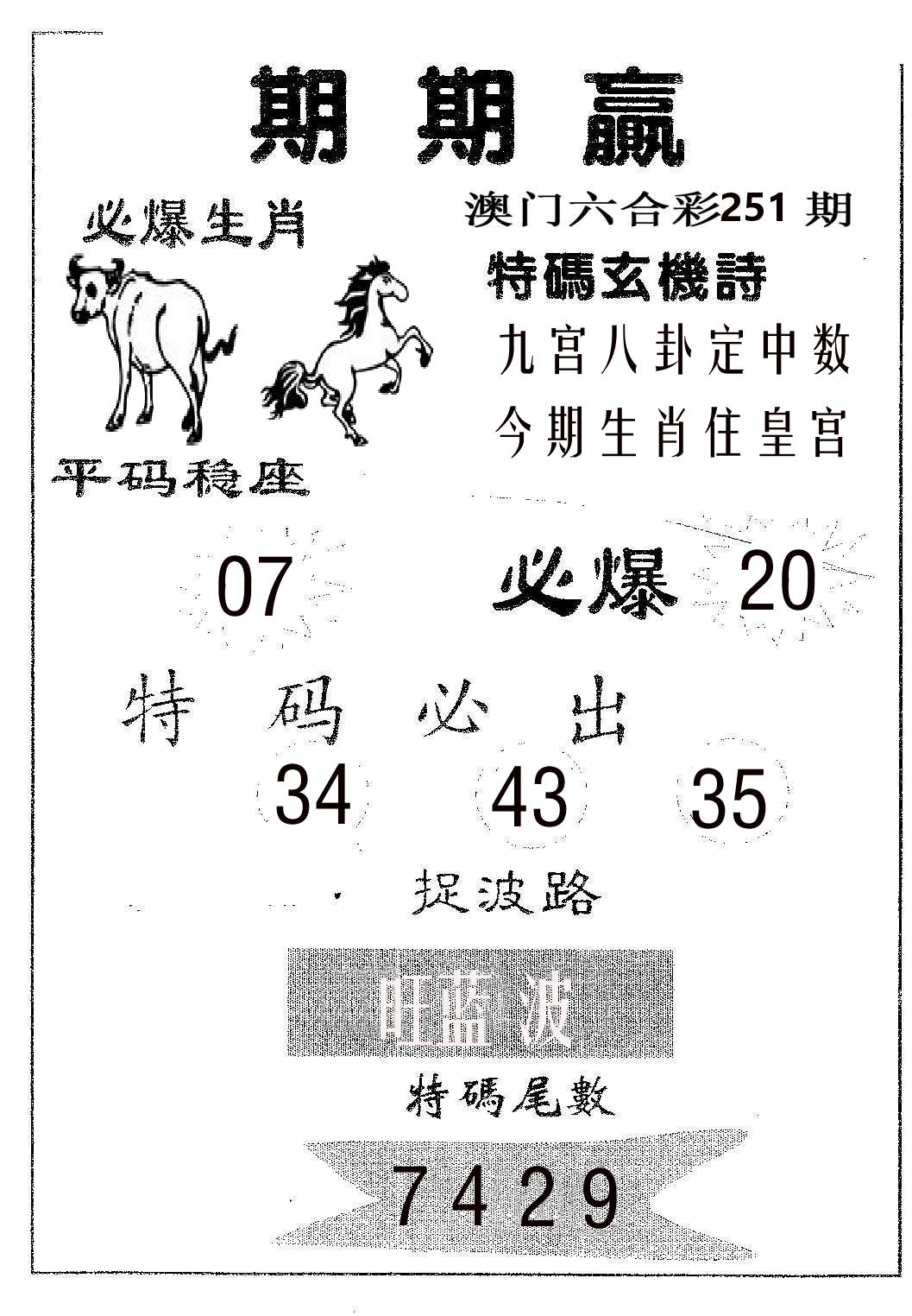 期期赢 第251期