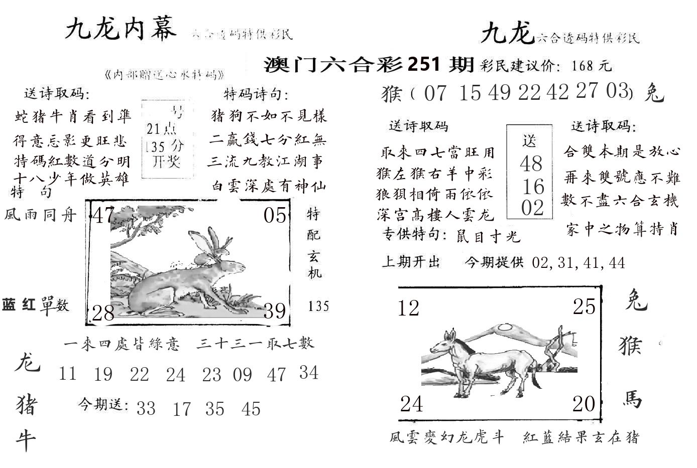九龙内幕 第251期
