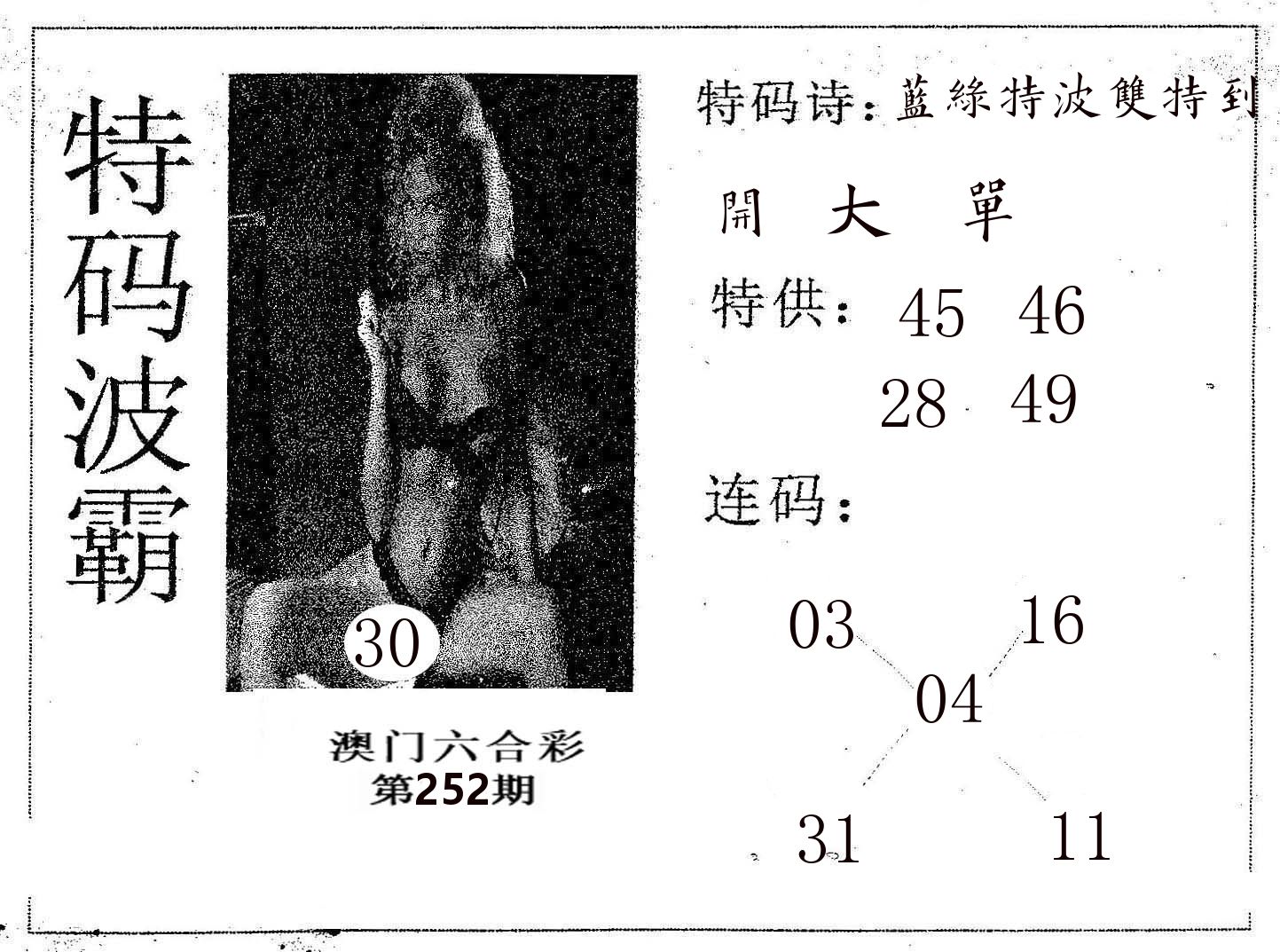 特码波霸 第252期