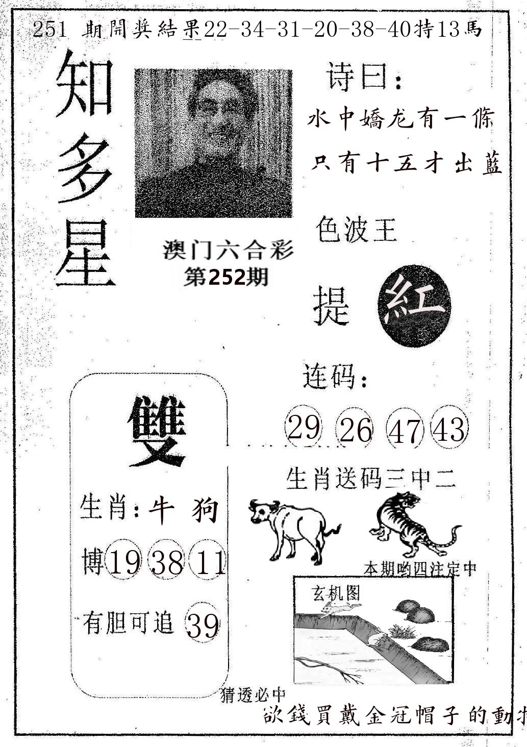 知多星 第252期