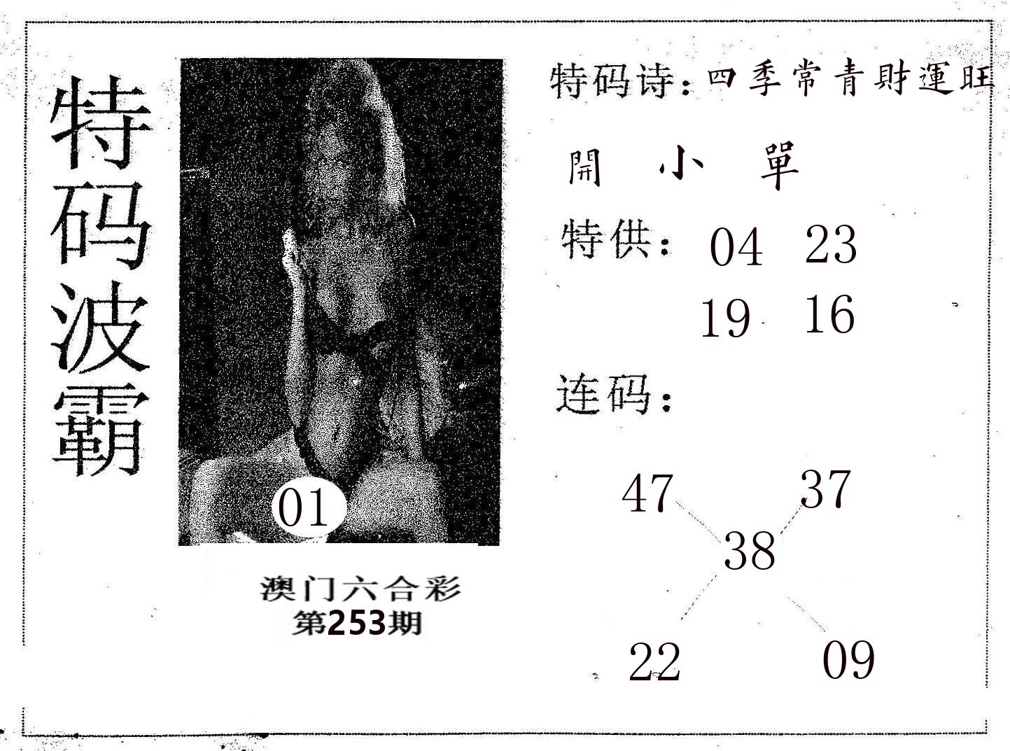 特码波霸 第253期