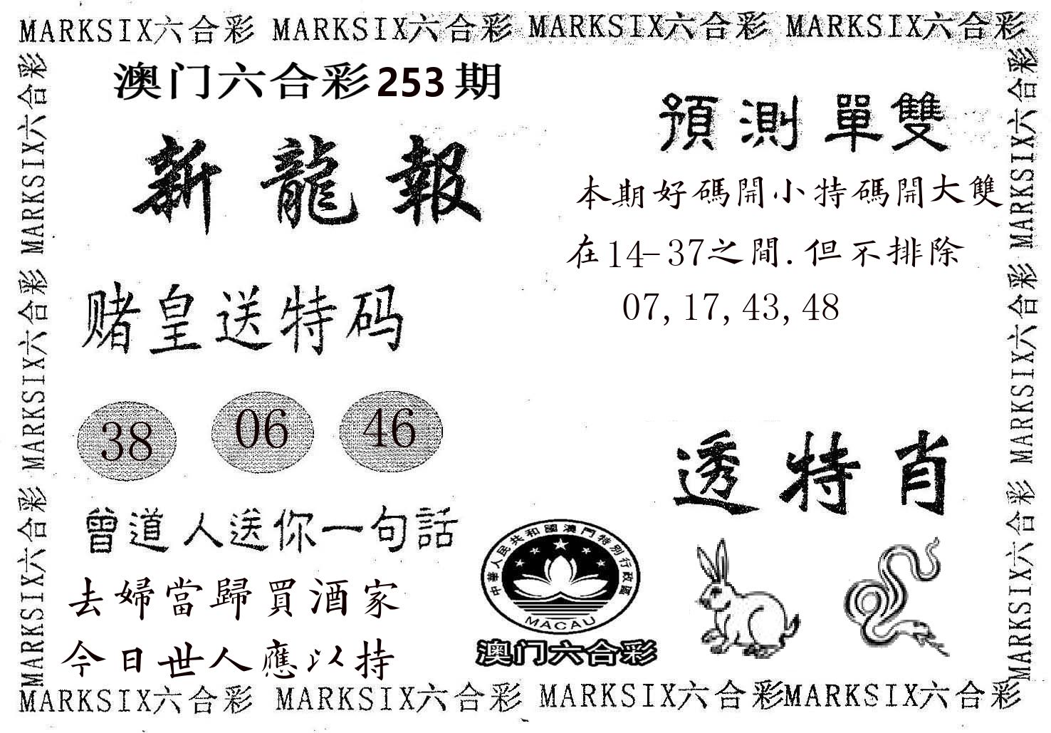 新龙报 第253期