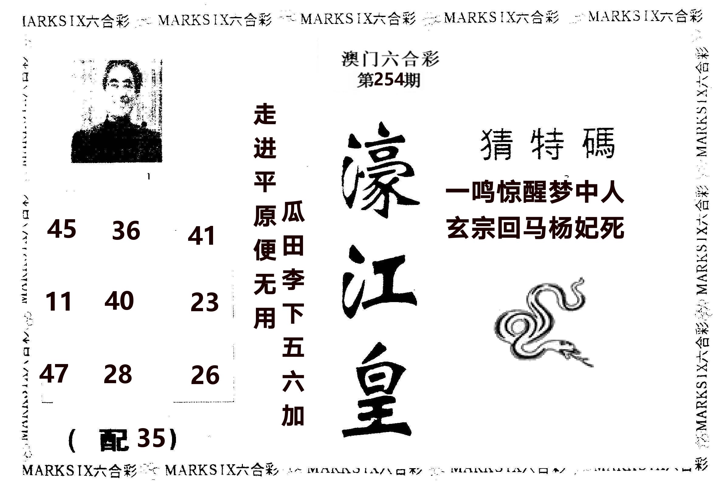 濠江皇 第254期