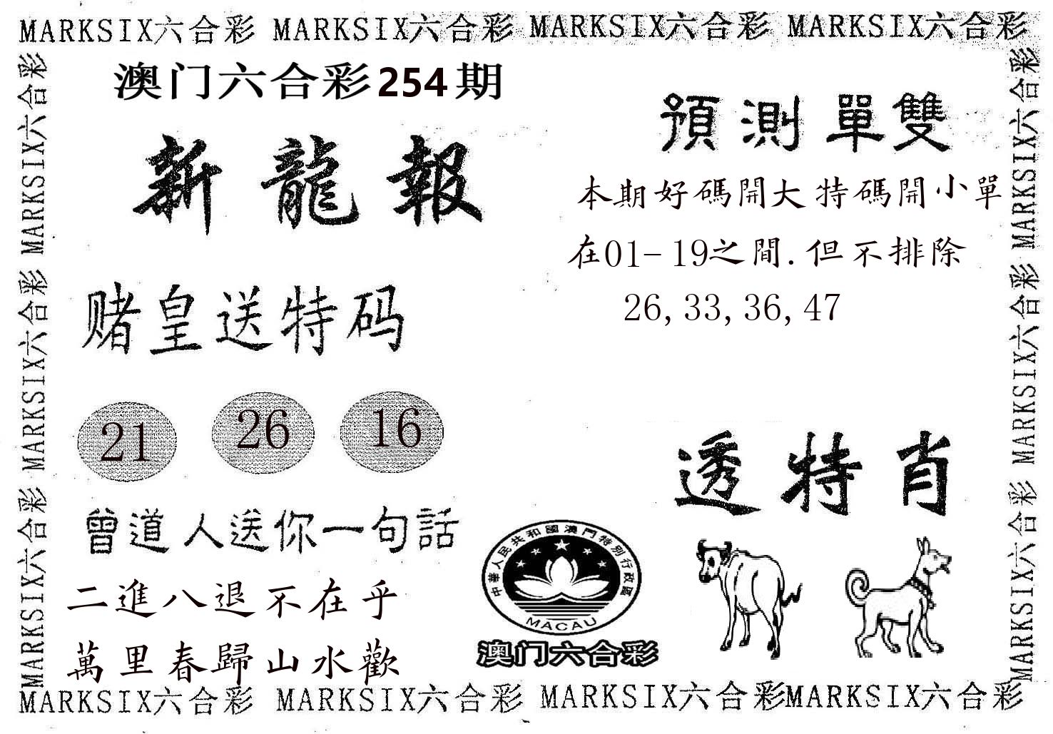 新龙报 第254期