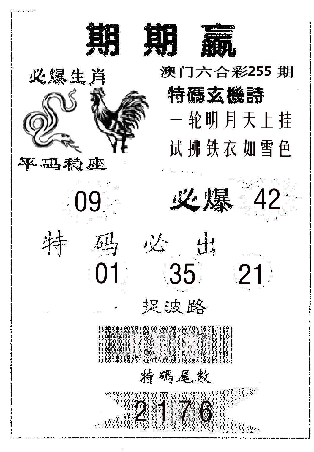 期期赢 第255期