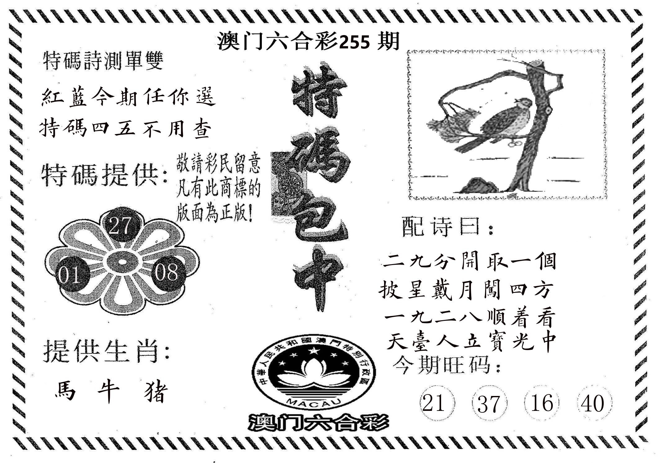 特码包中 第255期