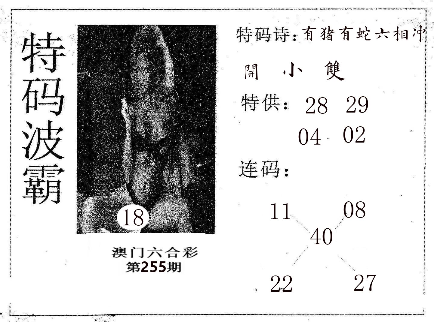 特码波霸 第255期