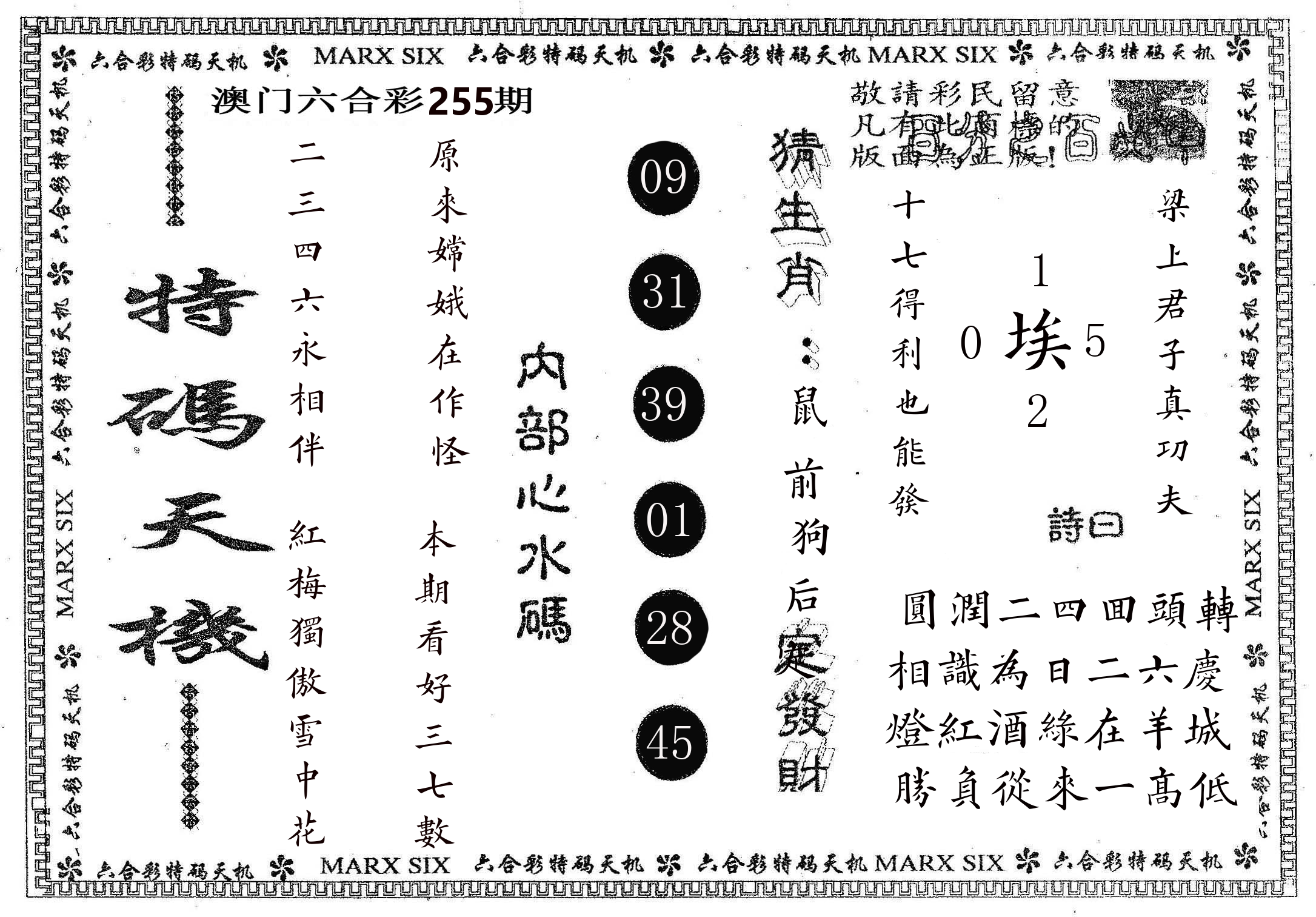 特码天机 第255期