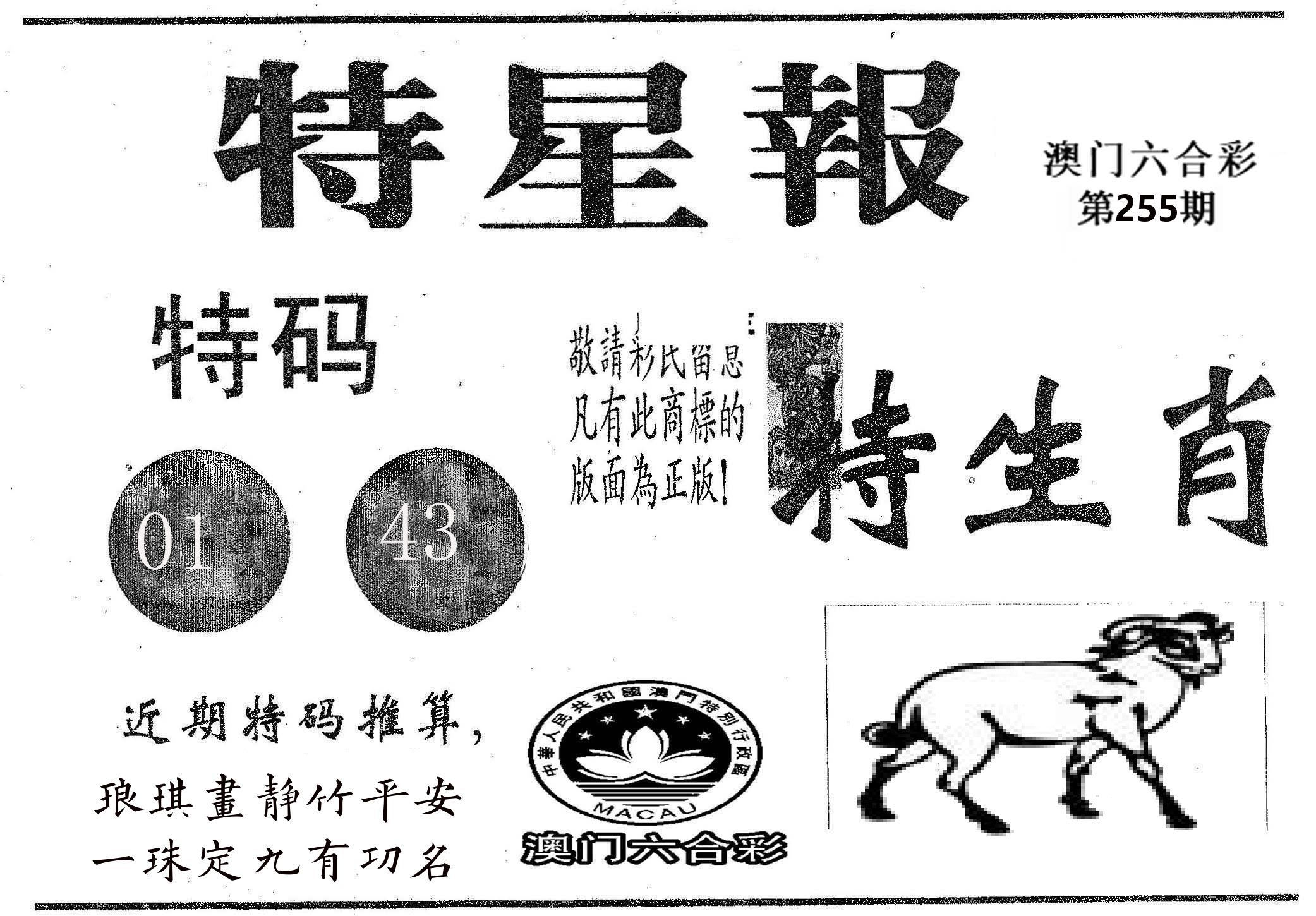 特星报 第255期