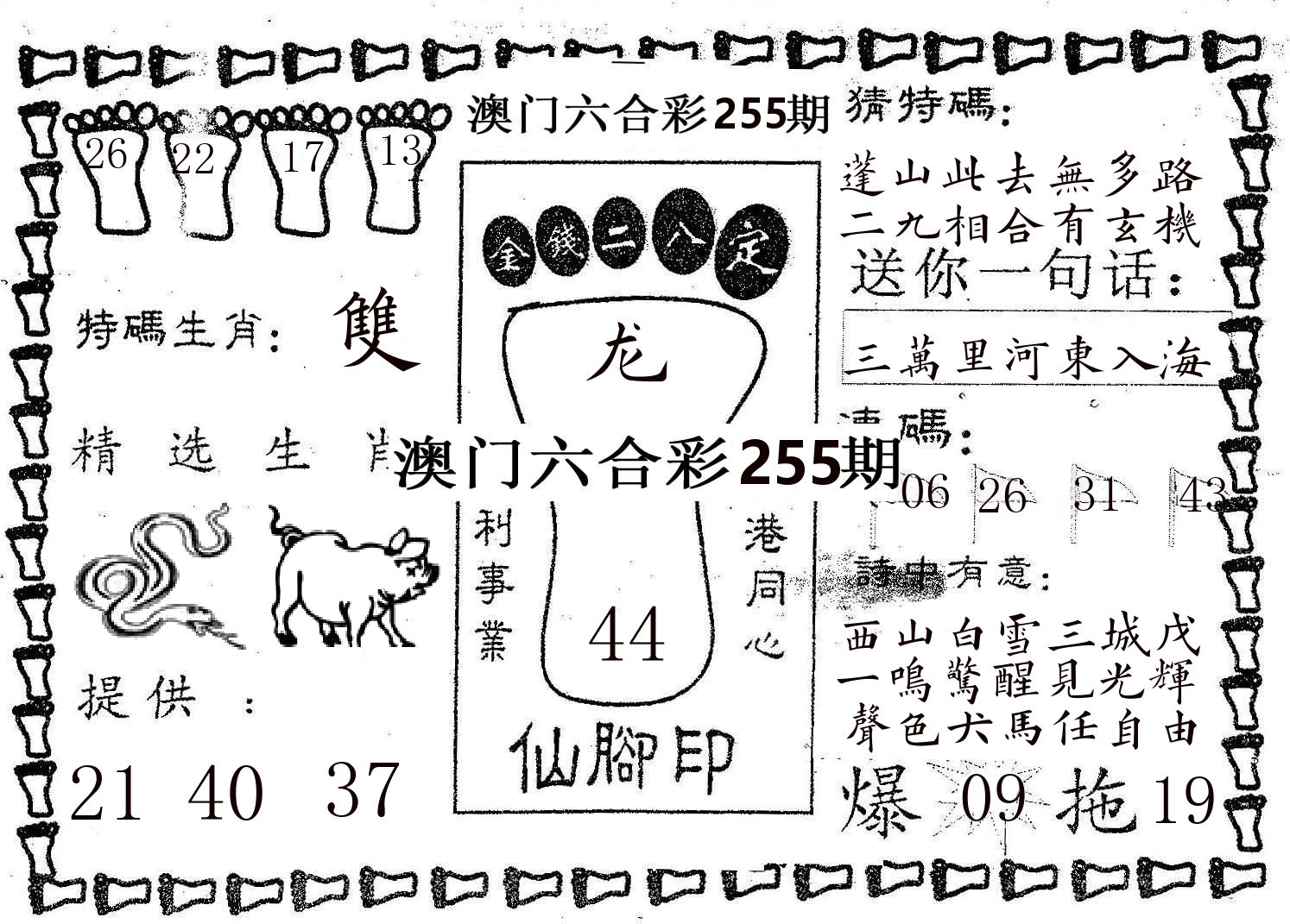 仙脚印 第255期
