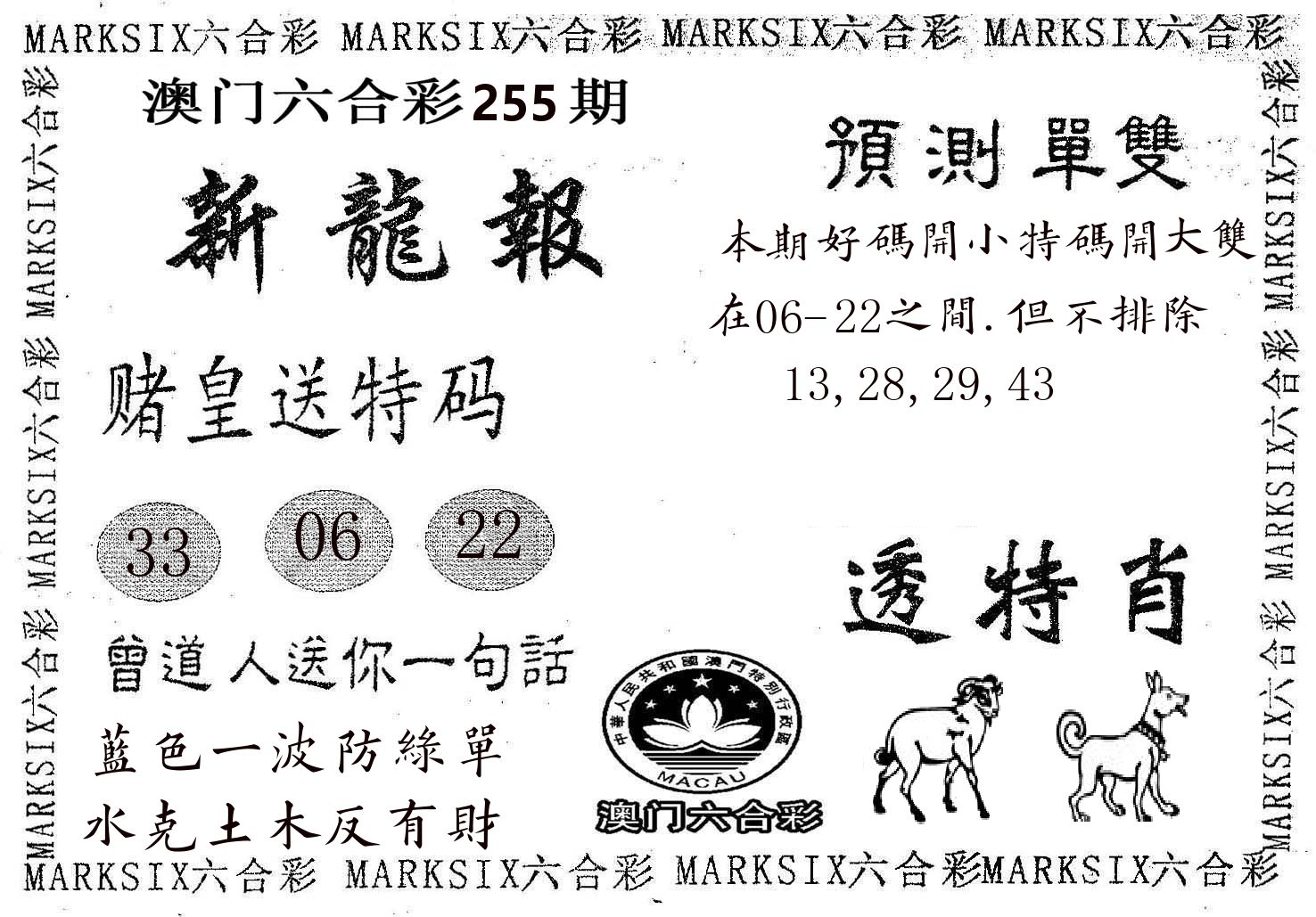 新龙报 第255期