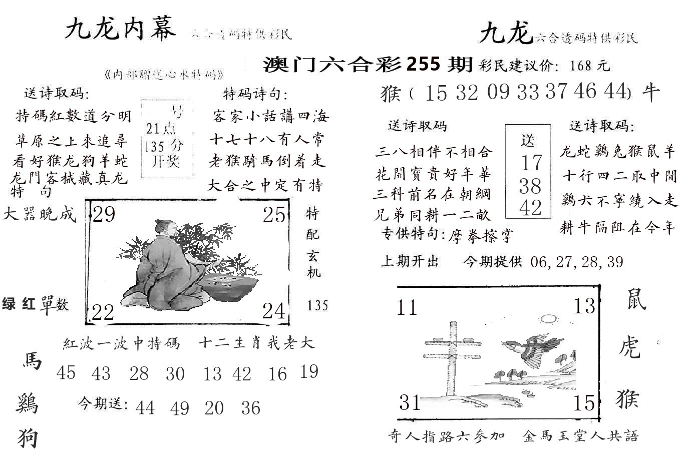 九龙内幕 第255期