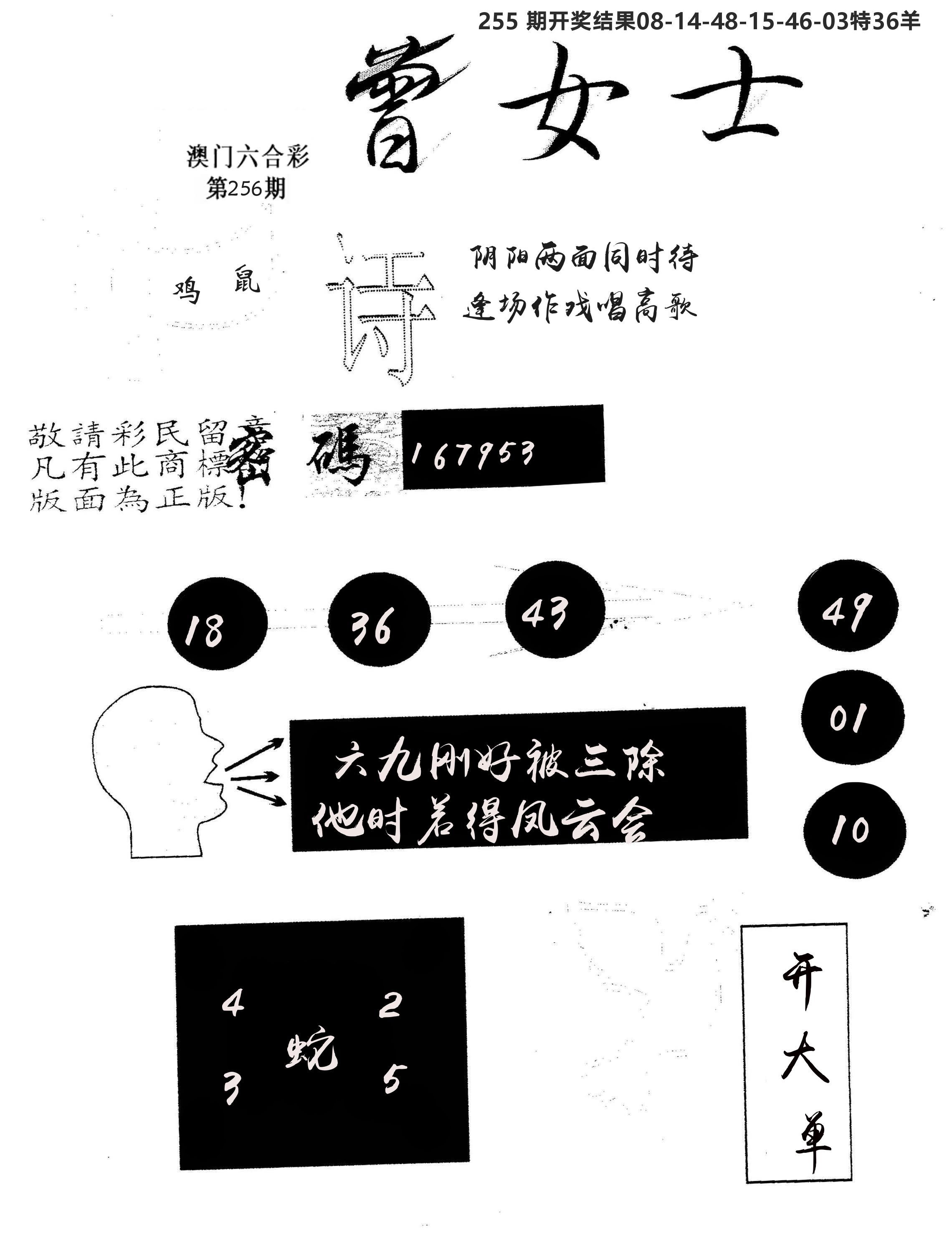 另版曾女士百灵鸟 第256期