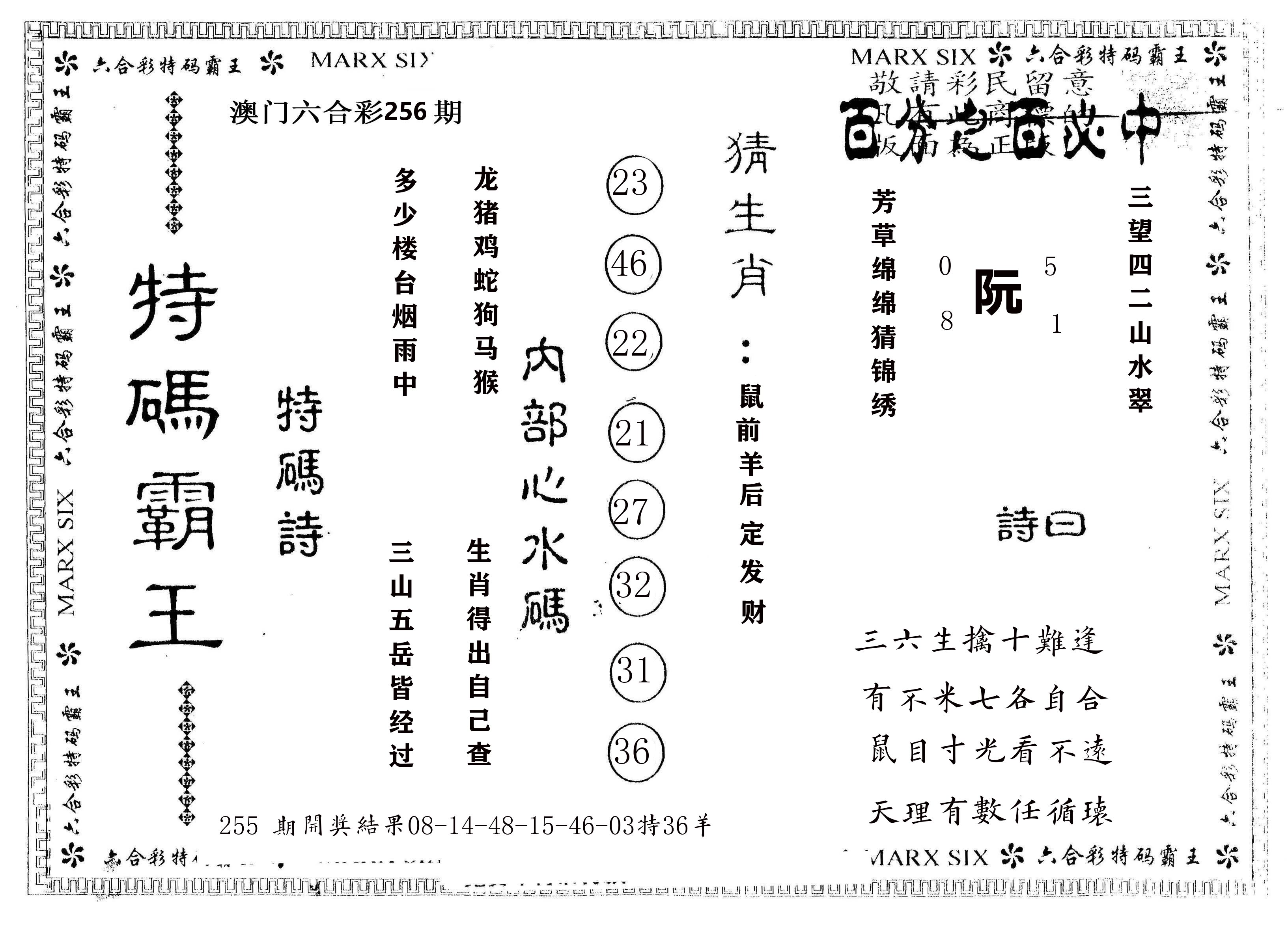 另版特码霸王 第256期