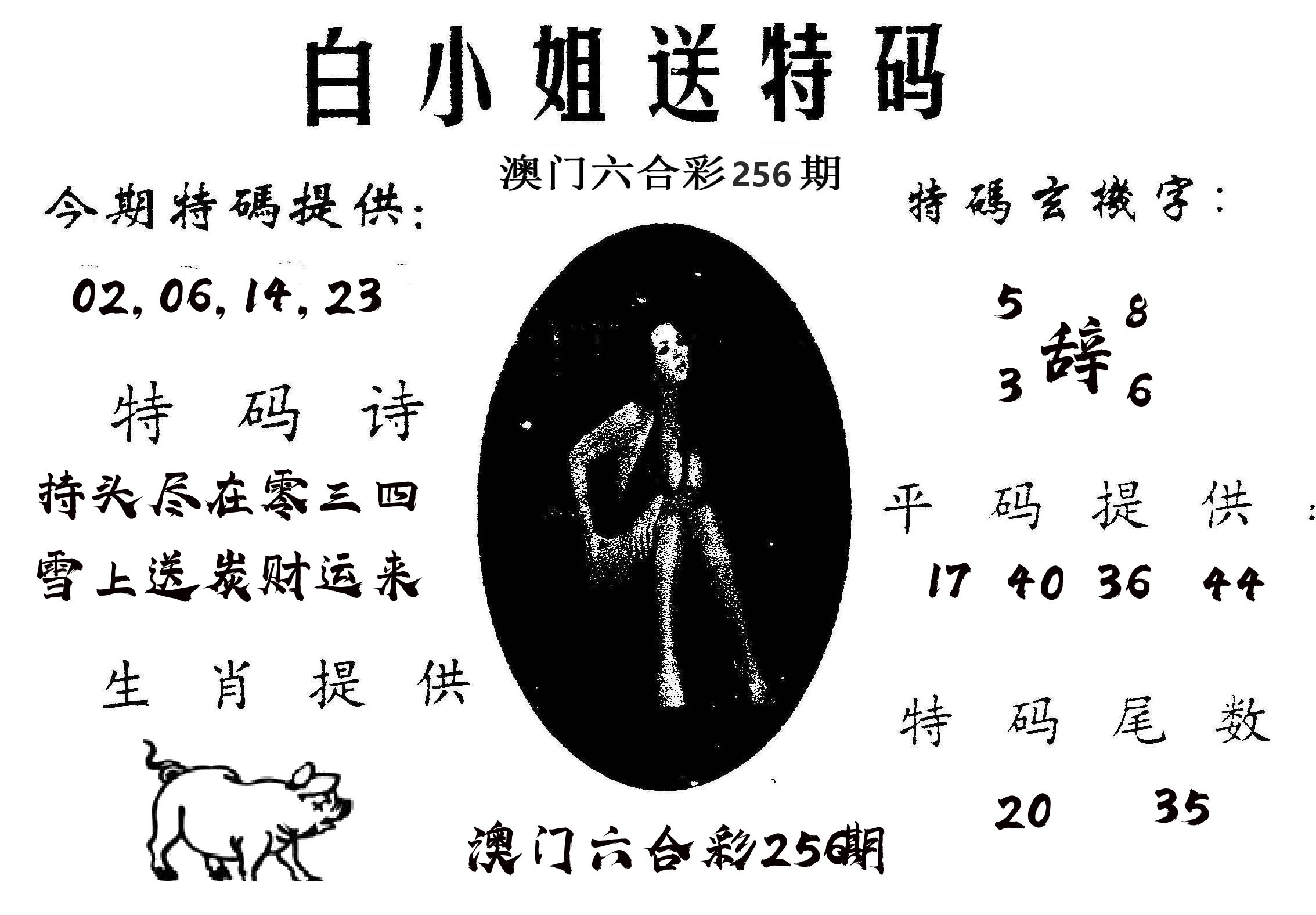 白姐送特 第256期