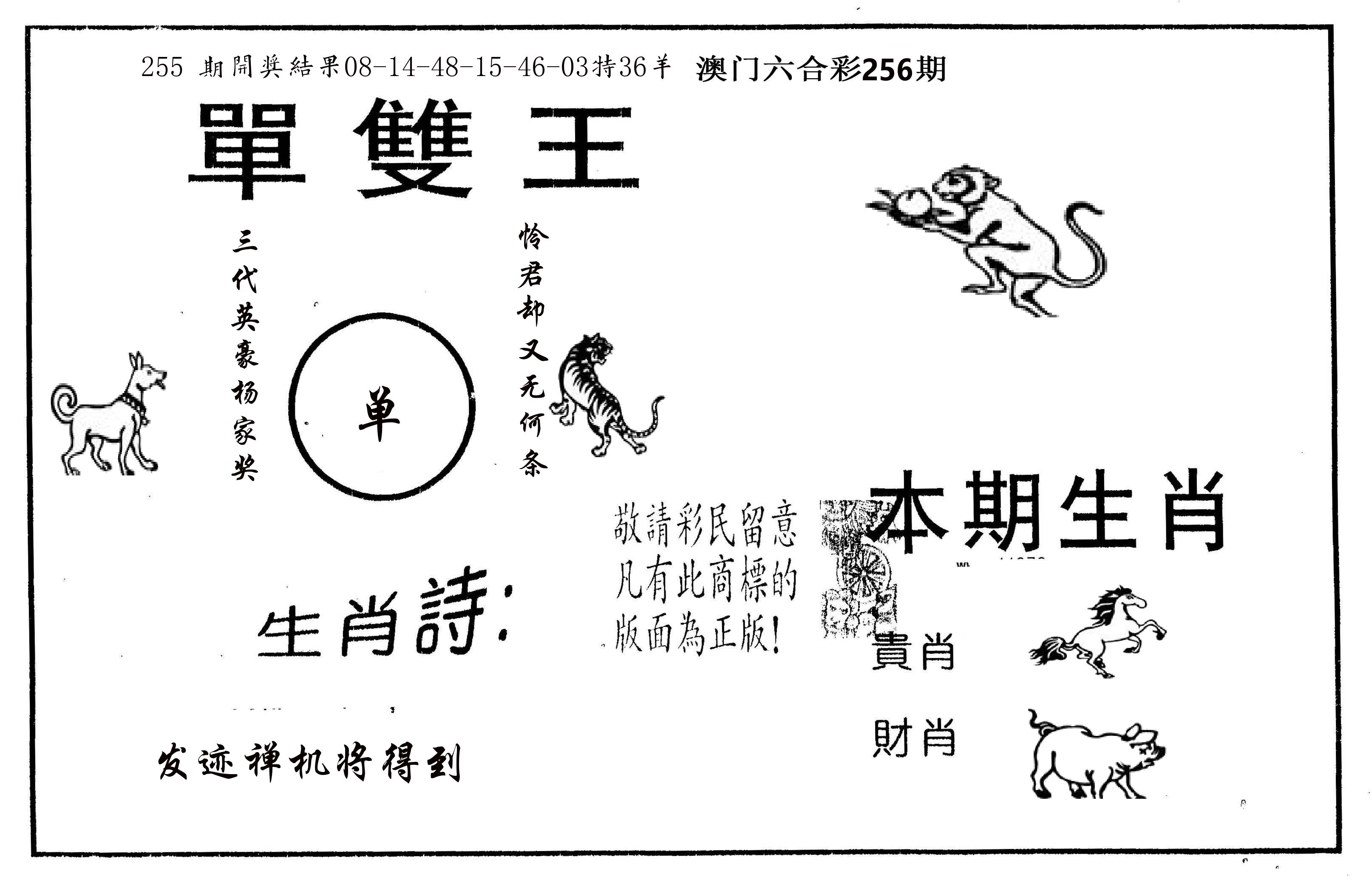 单双王A 第256期
