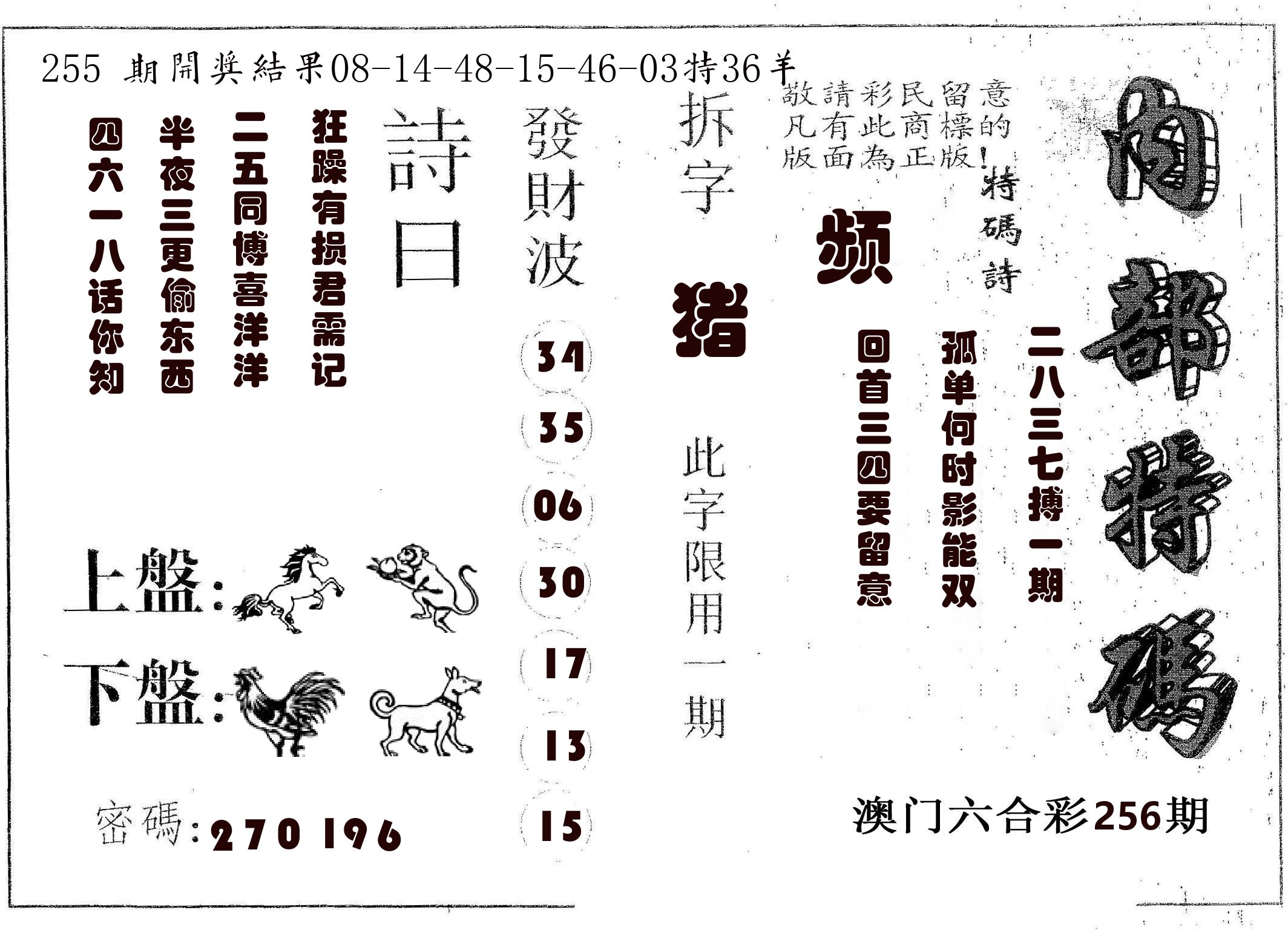 内部特码 第256期