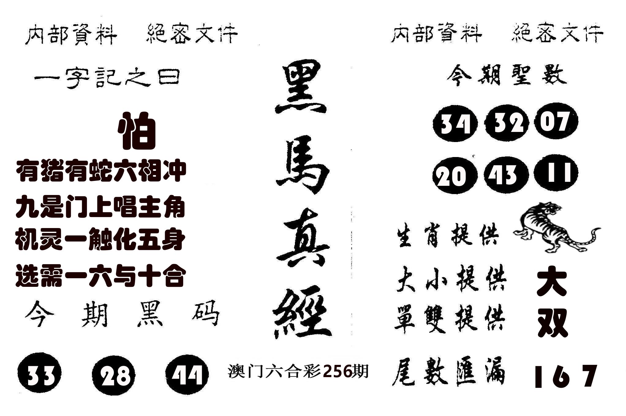 黑马真经 第256期