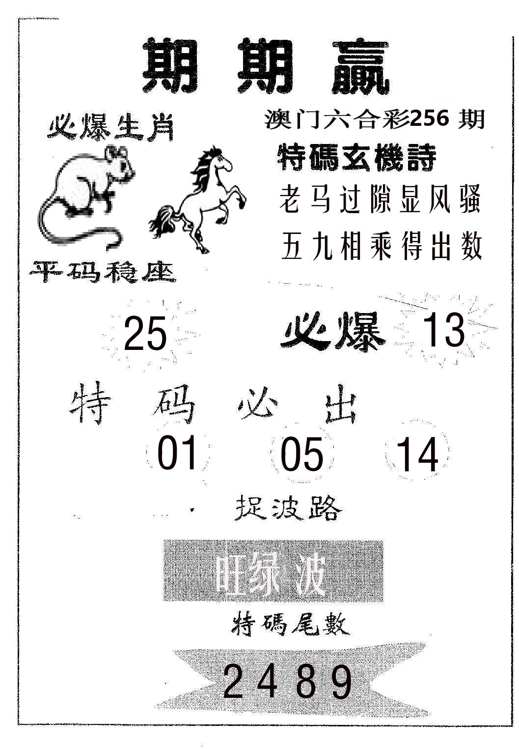 期期赢 第256期