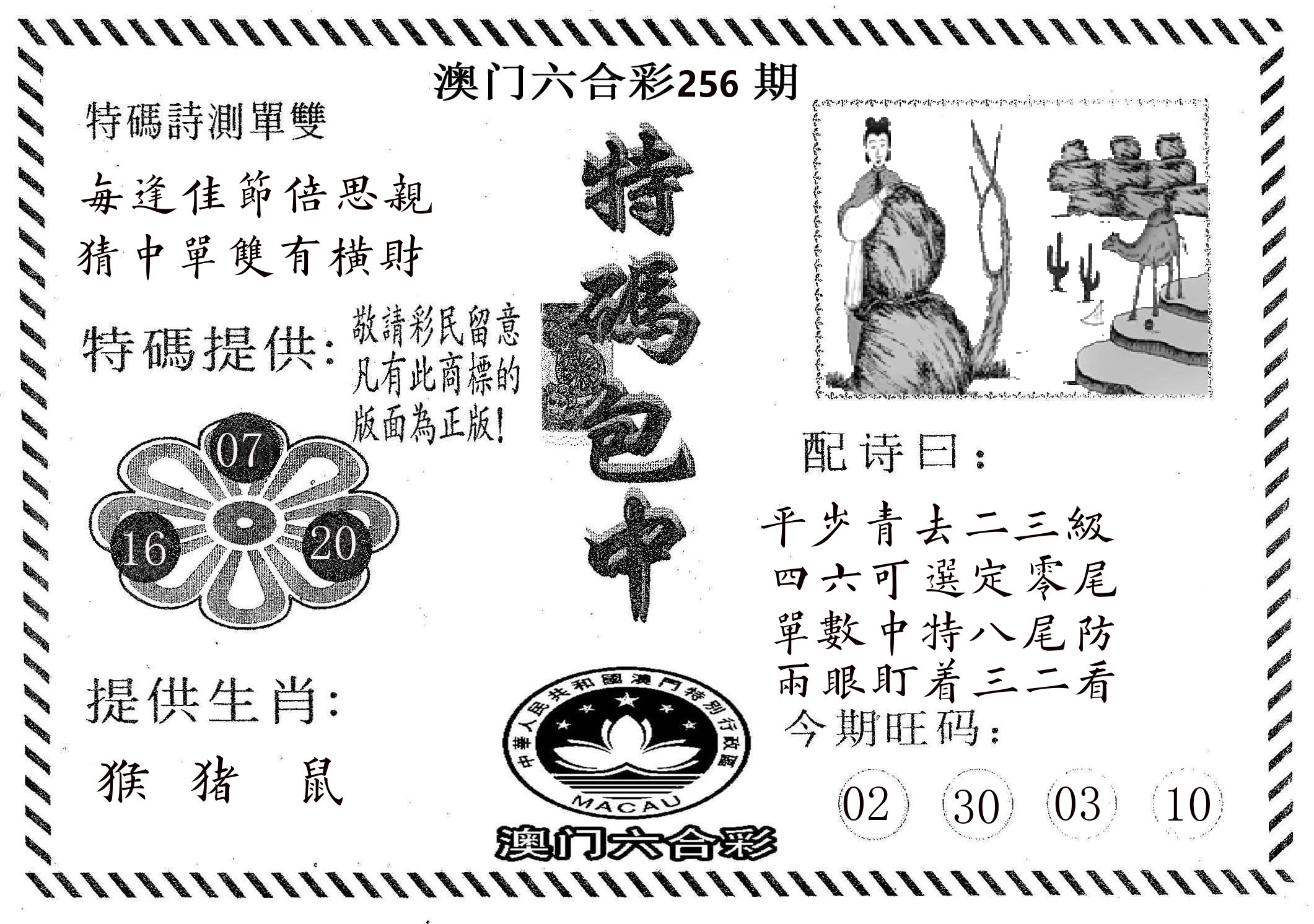 特码包中 第256期