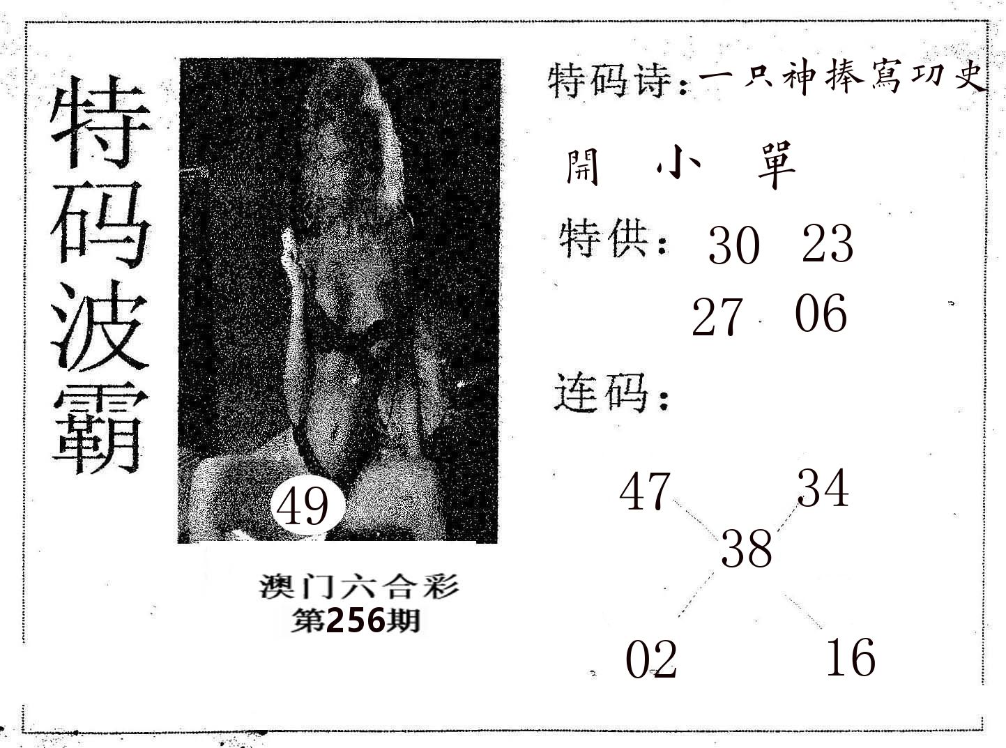 特码波霸 第256期