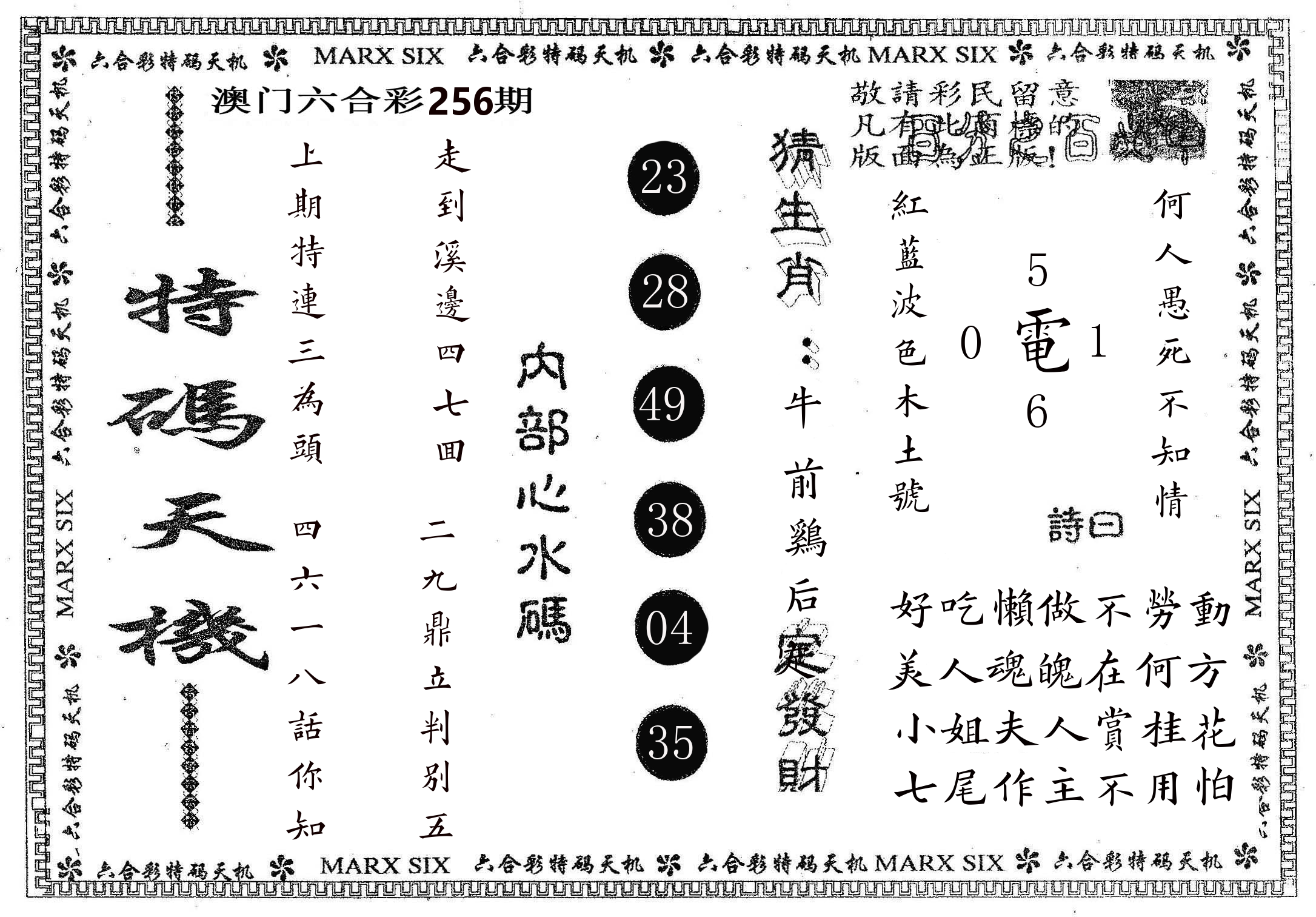 特码天机 第256期
