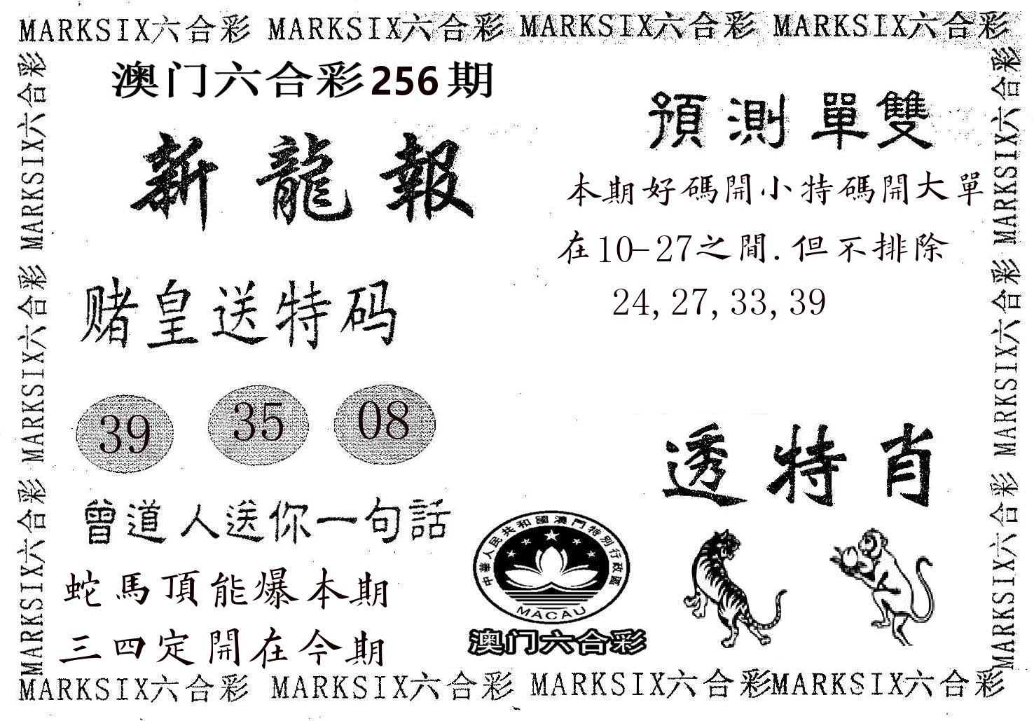新龙报 第256期